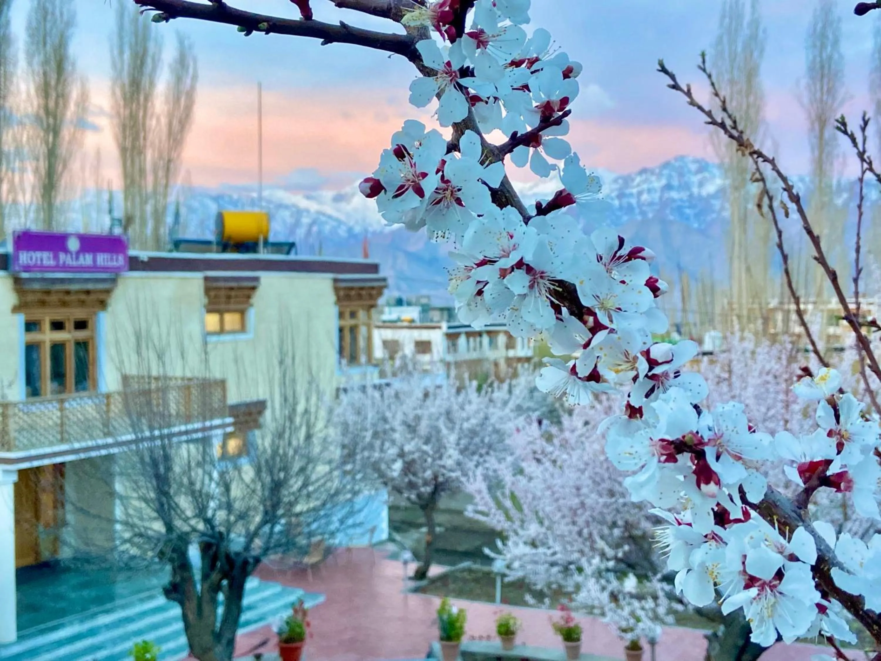 Spring in Hotel Palam Hills