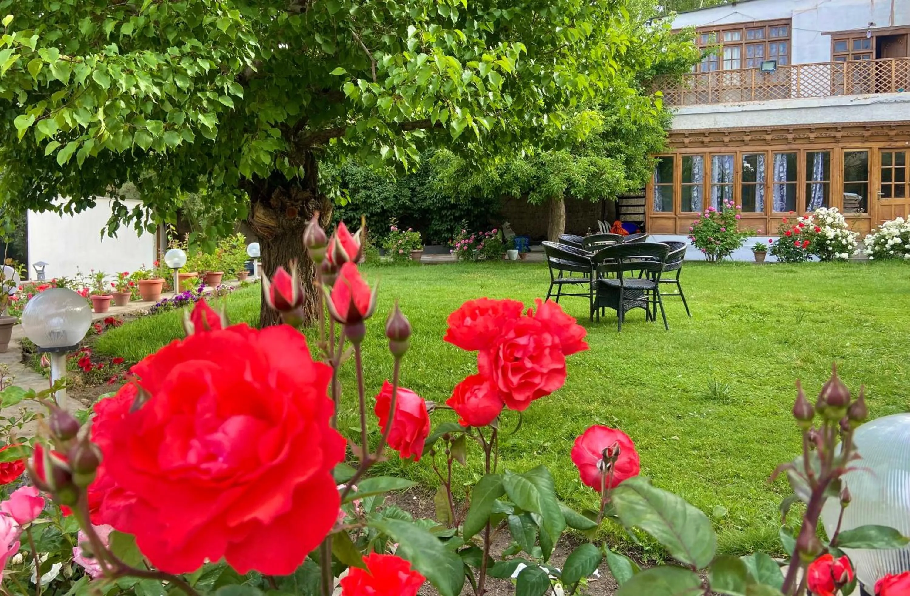 Garden view in Hotel Palam Hills