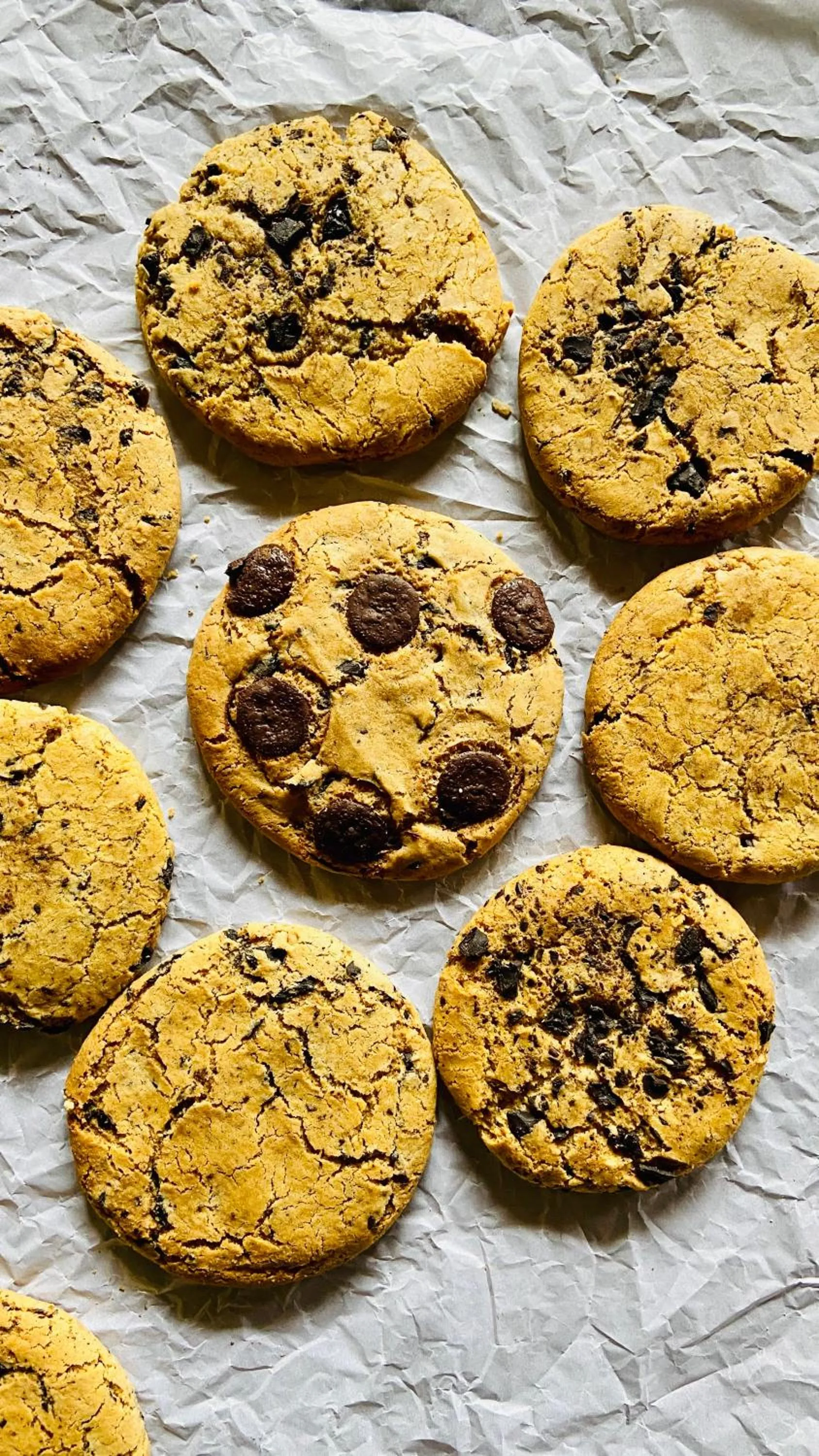 Restaurant/places to eat in Hotel Palam Hills