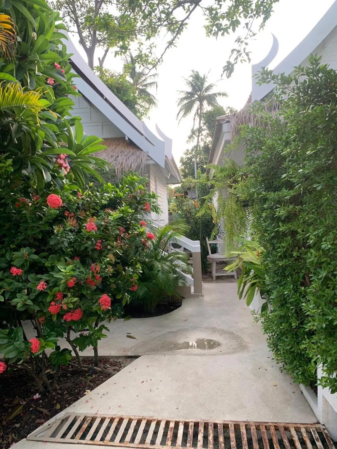 Garden in Elephant Beach Club & Resort Samui