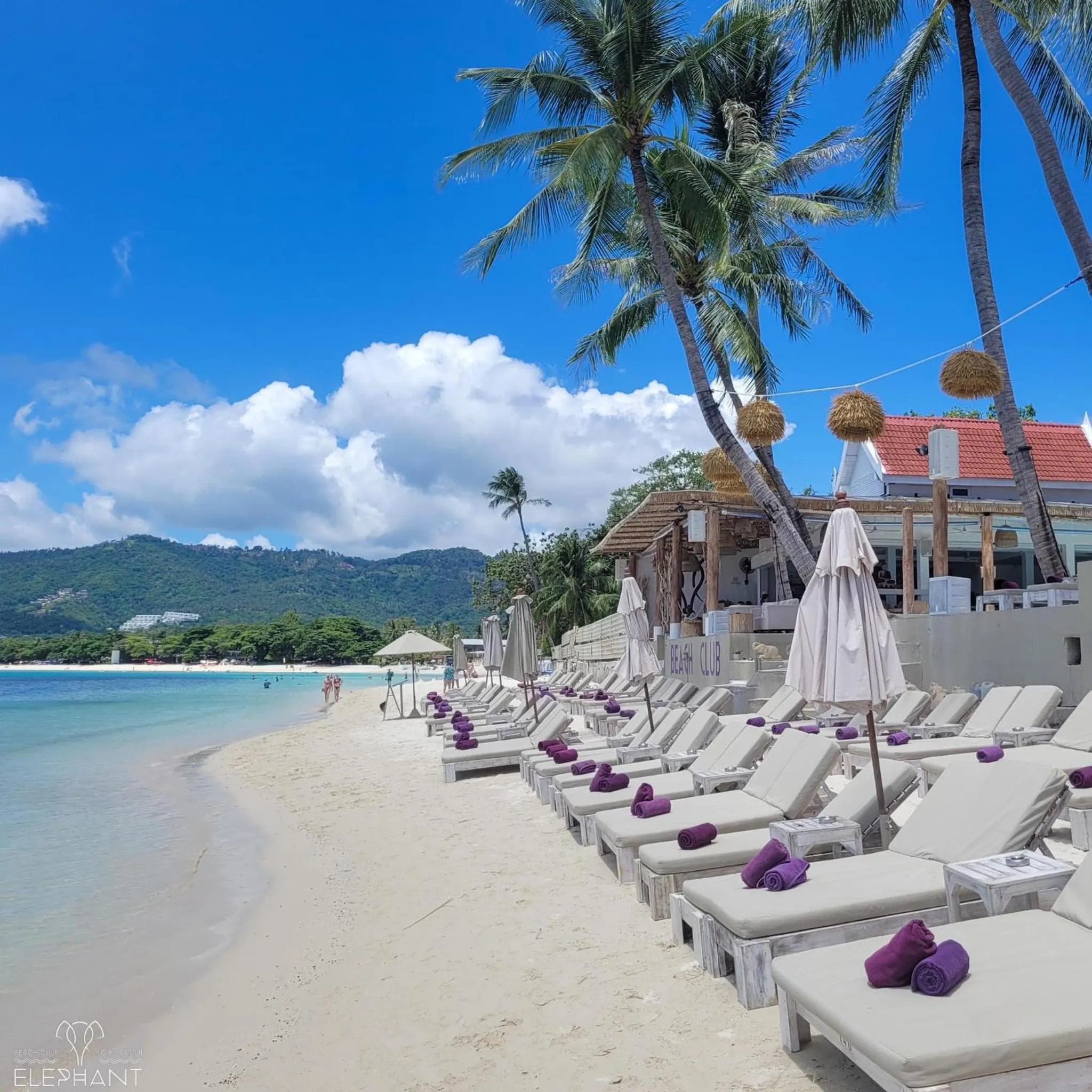 Day in Elephant Beach Club & Resort Samui