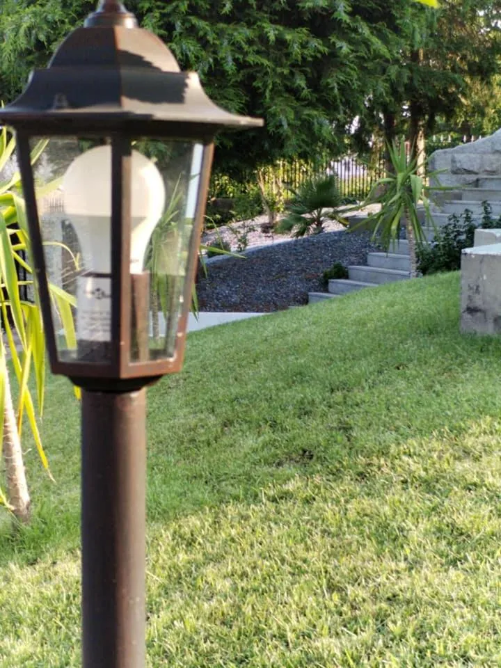 Spring in Quinta da Costinha