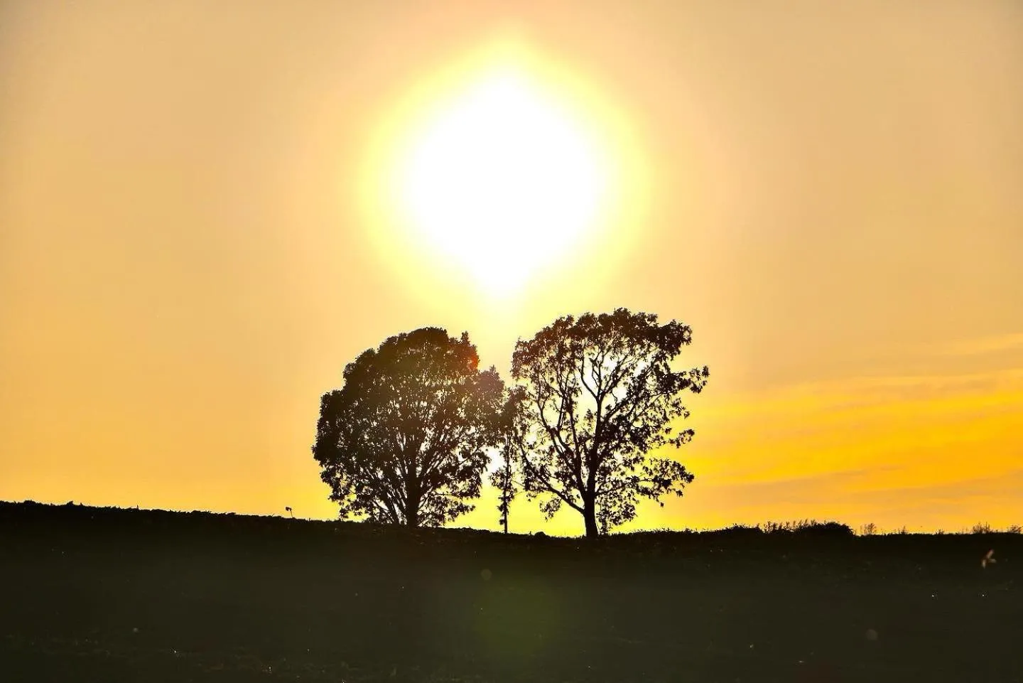 Natural landscape in Chill Village