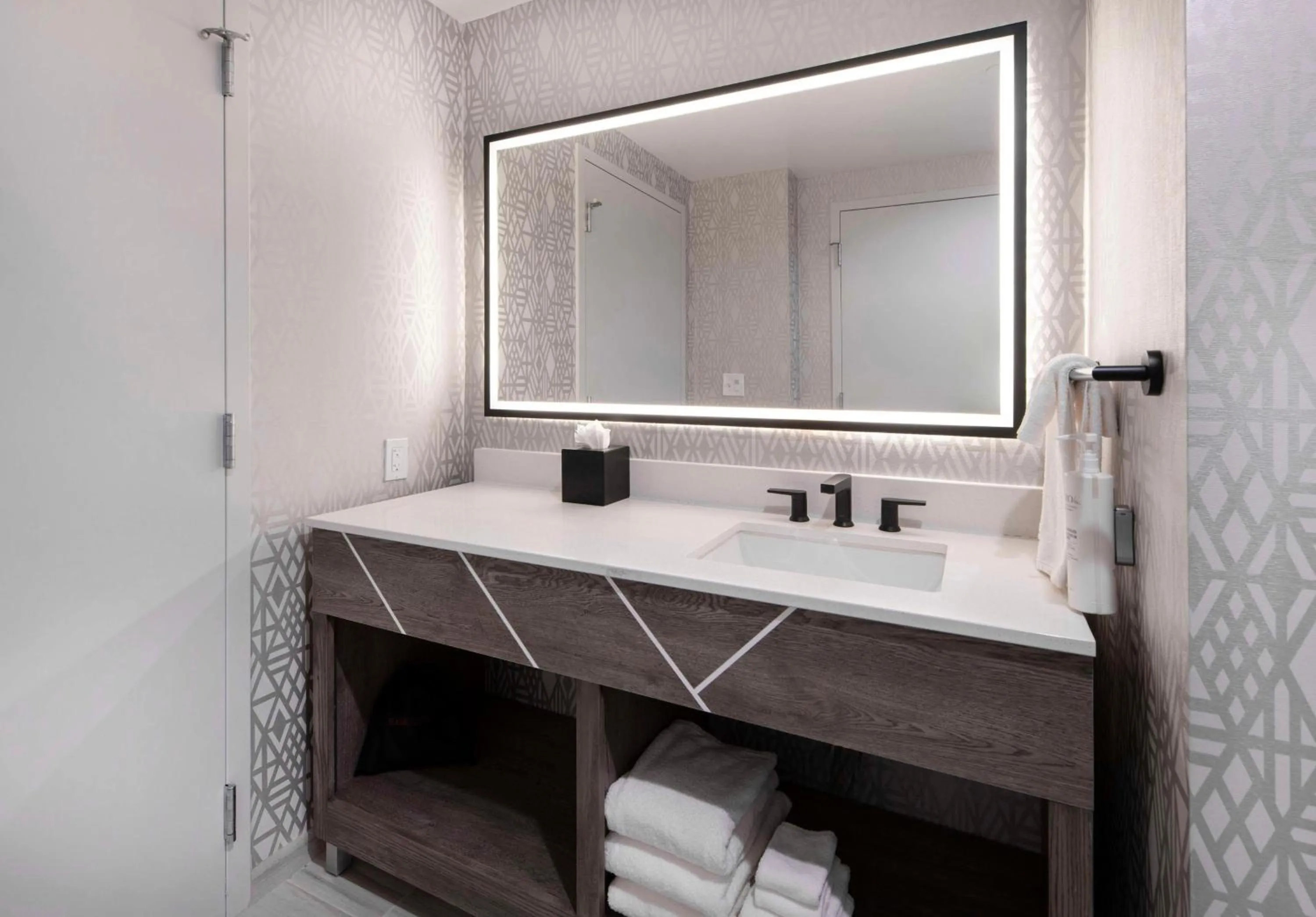 Bathroom in Embassy Suites By Hilton Asheville Downtown