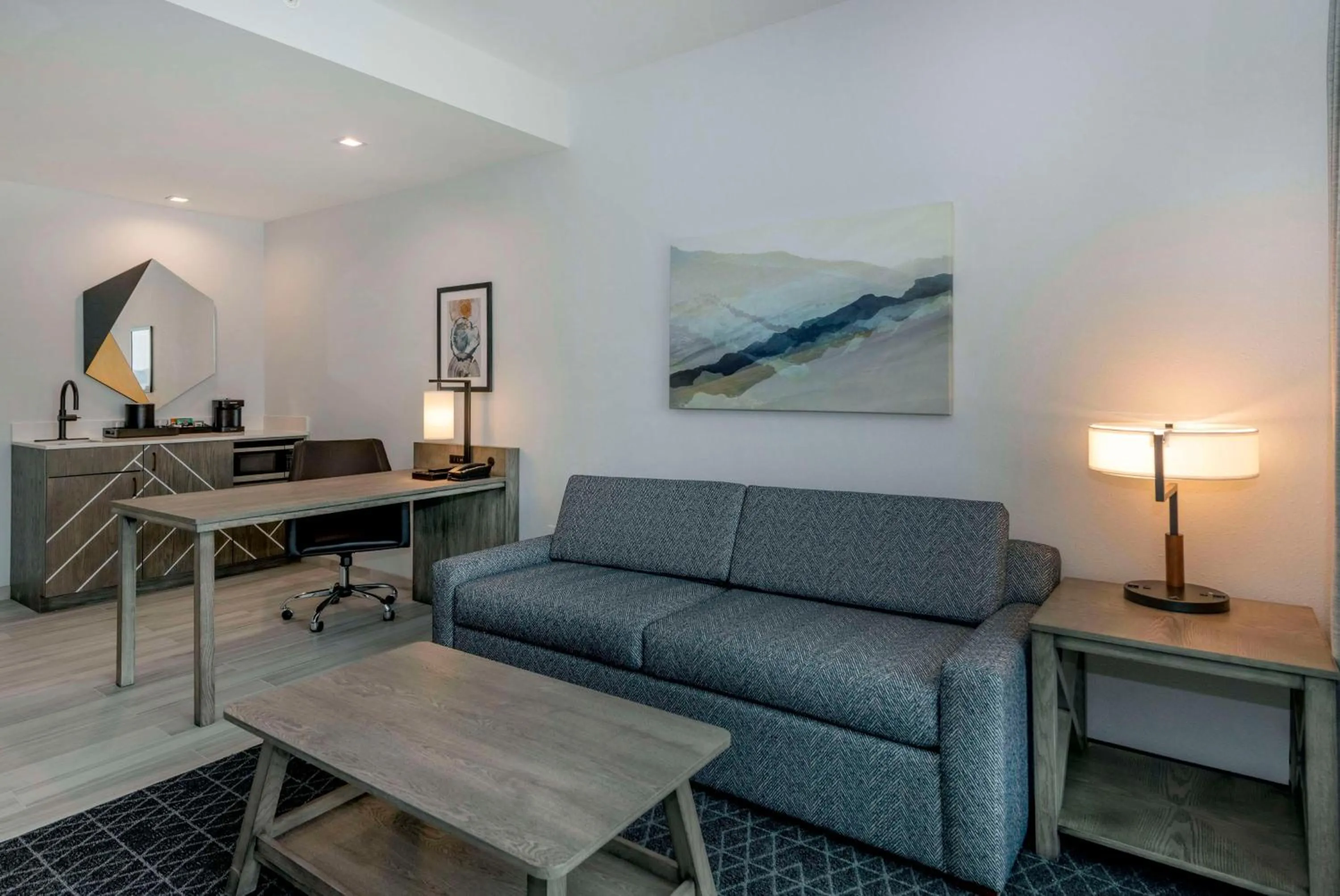 Living room in Embassy Suites By Hilton Asheville Downtown