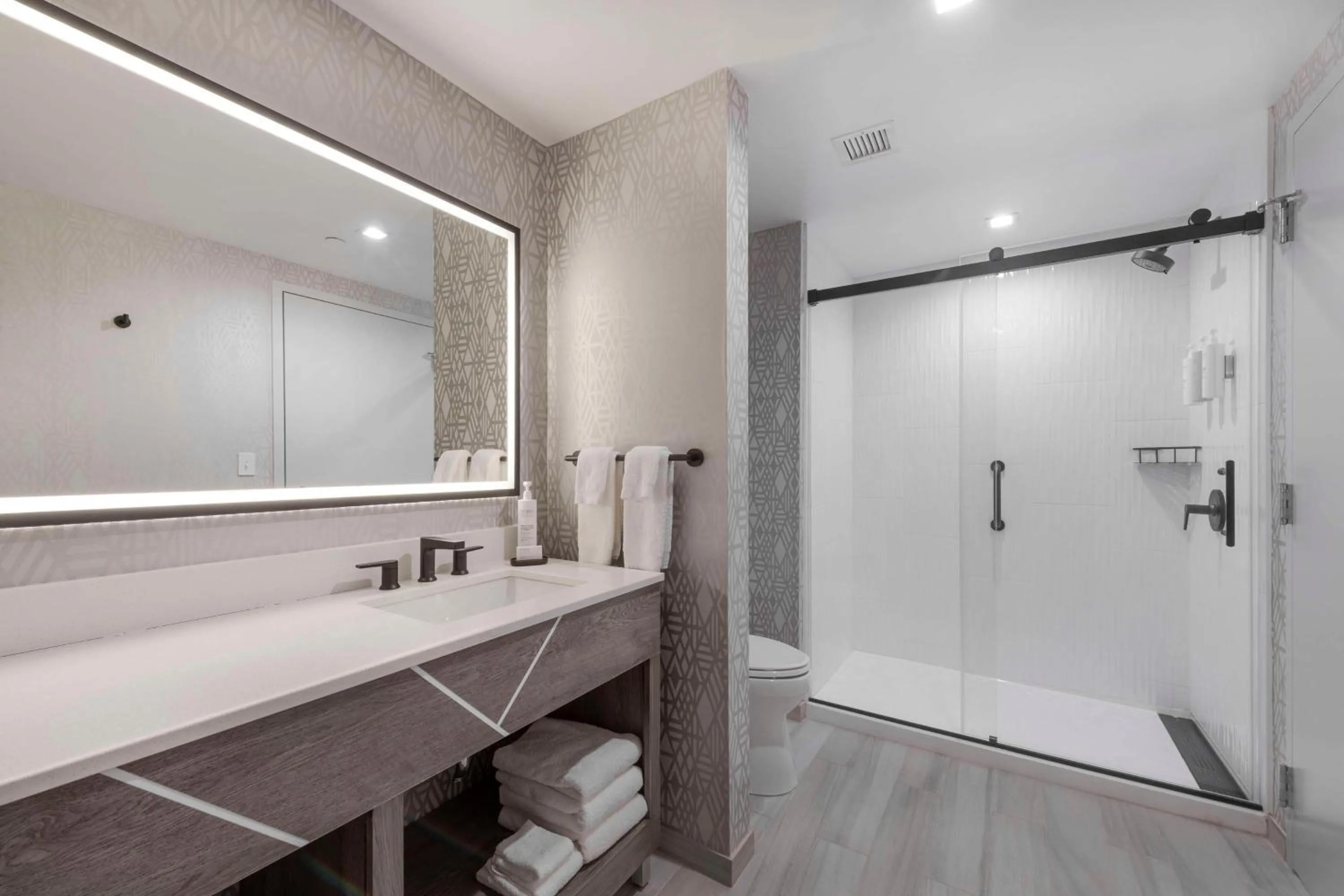 Shower in Embassy Suites By Hilton Asheville Downtown