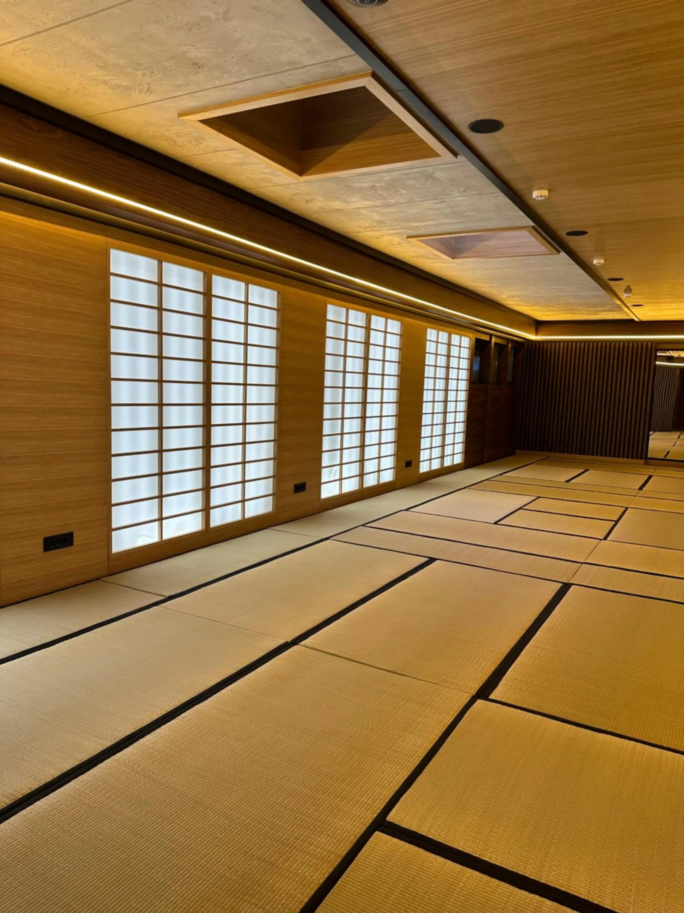 Fitness centre/facilities in Hanami Design Hotel