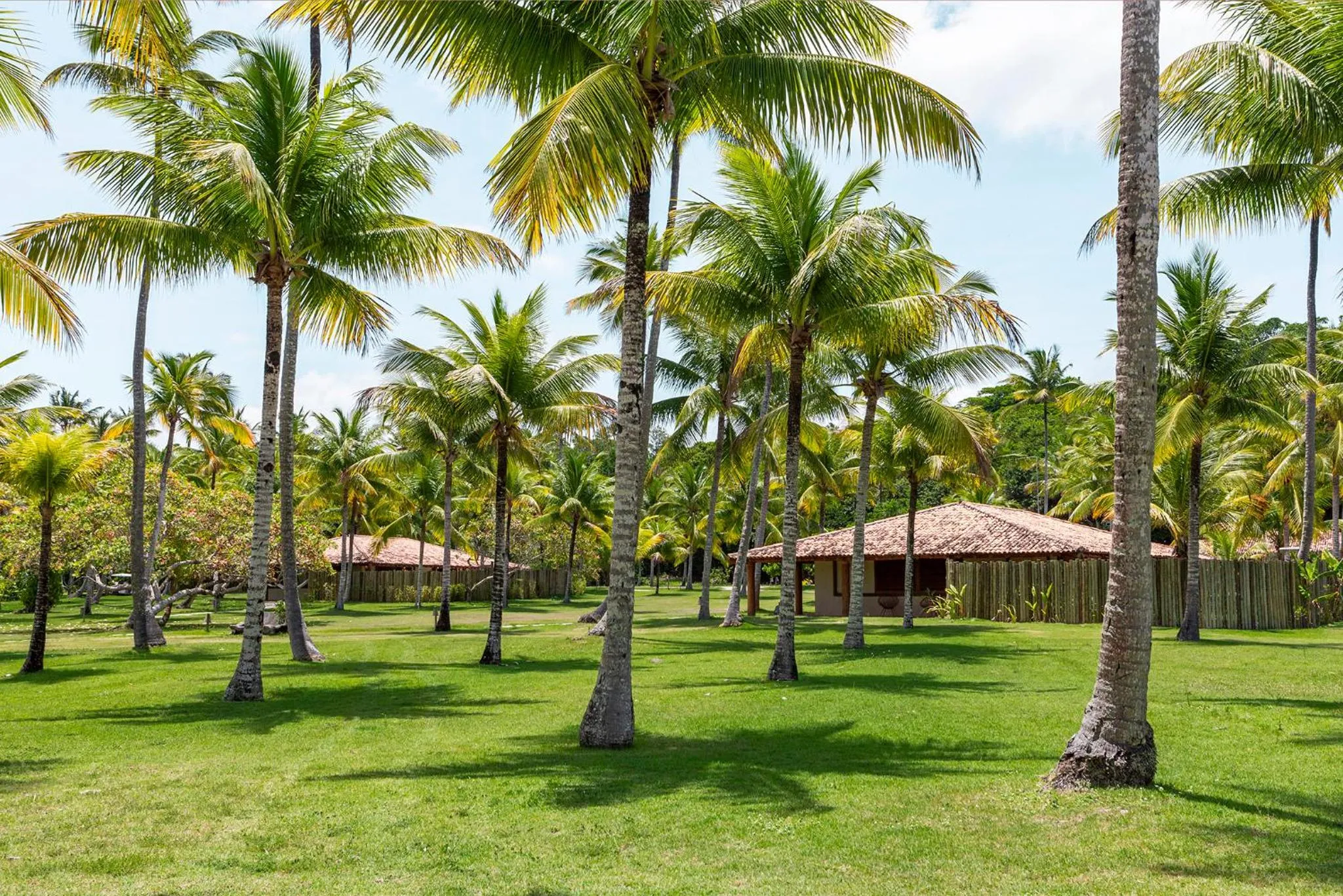 Garden in Reserva Jacumã Boutique Hotel