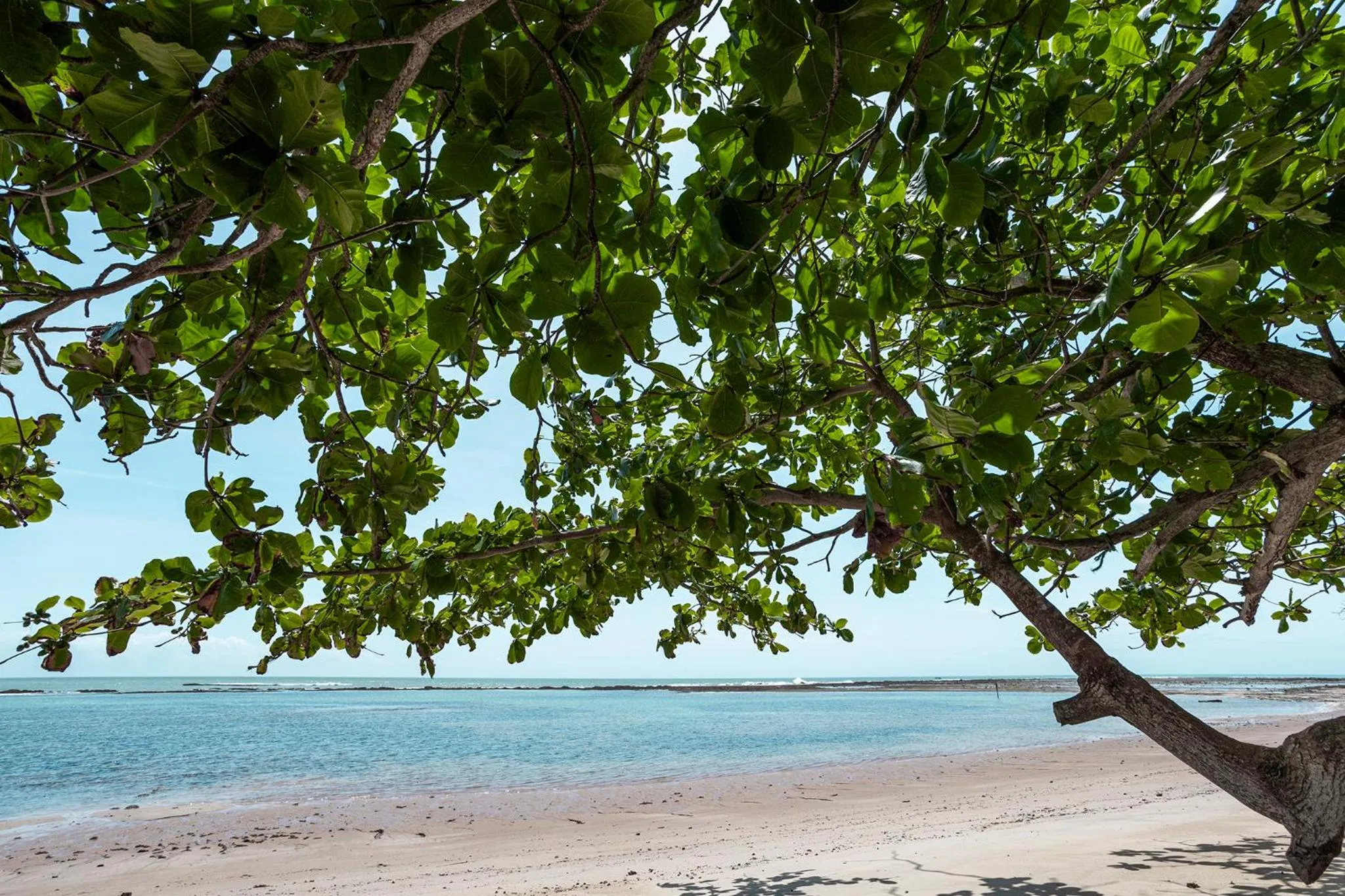 Beach in Reserva Jacumã Boutique Hotel