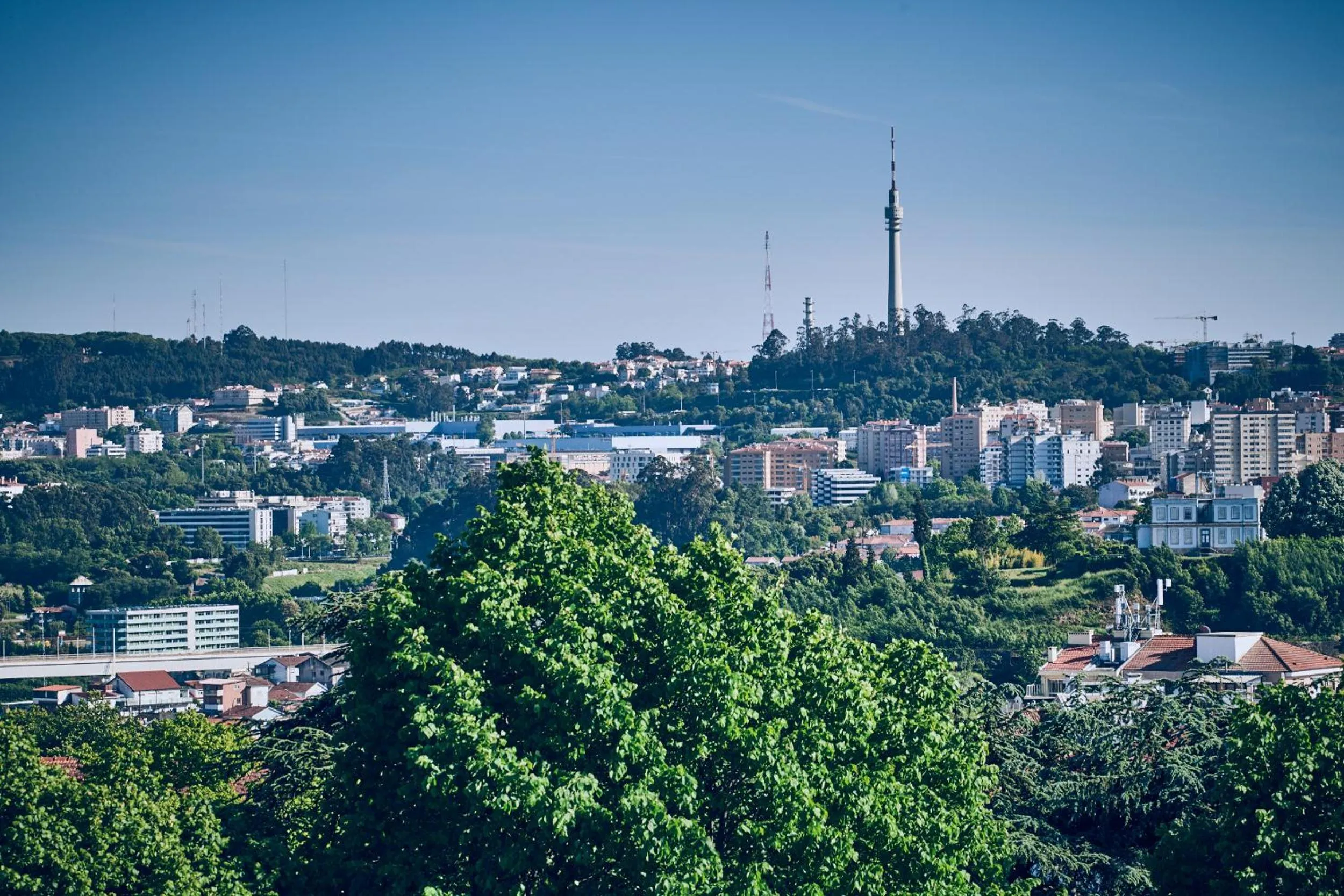 Mountain view in Prim&Proper