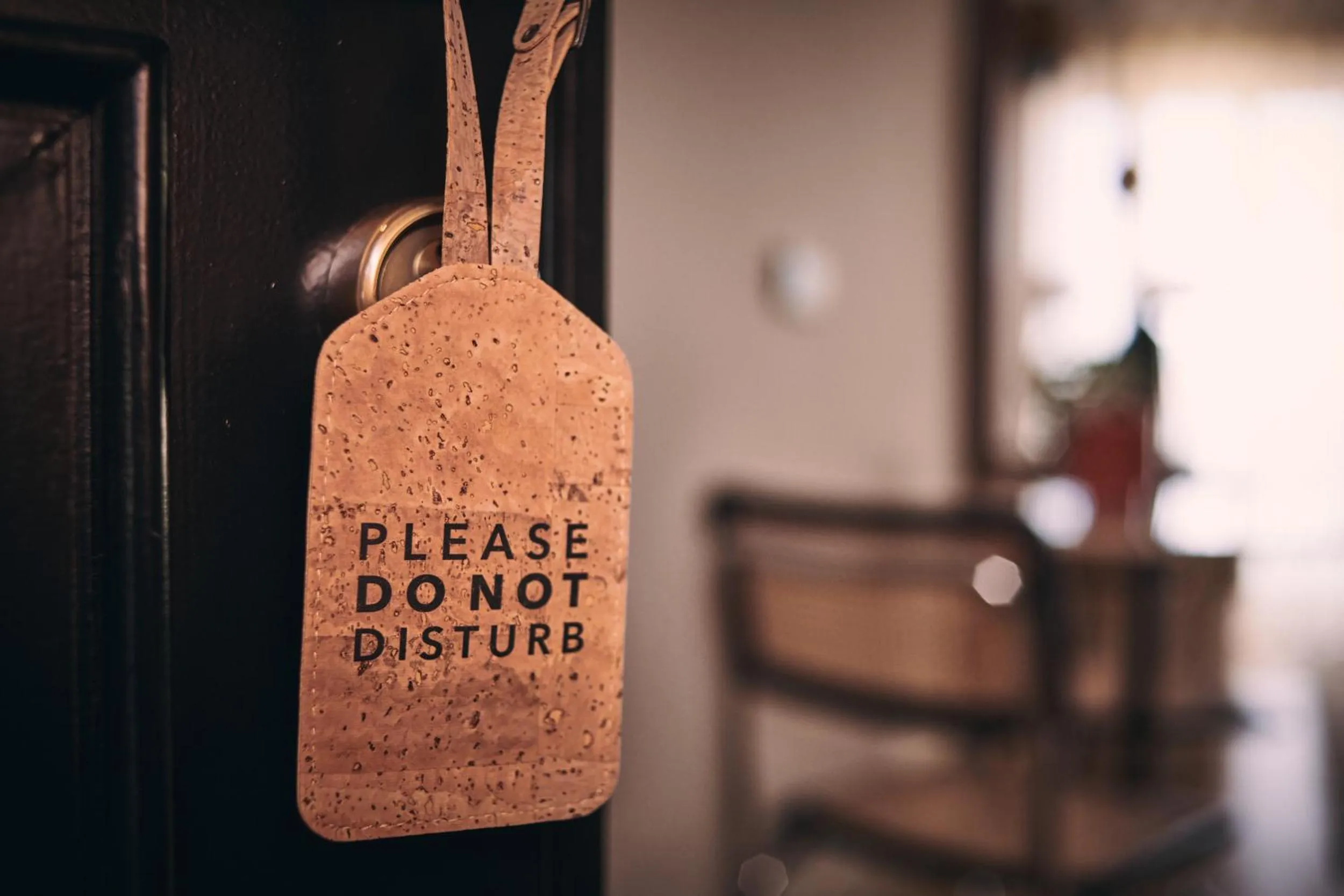 Text overlay in Prim&Proper