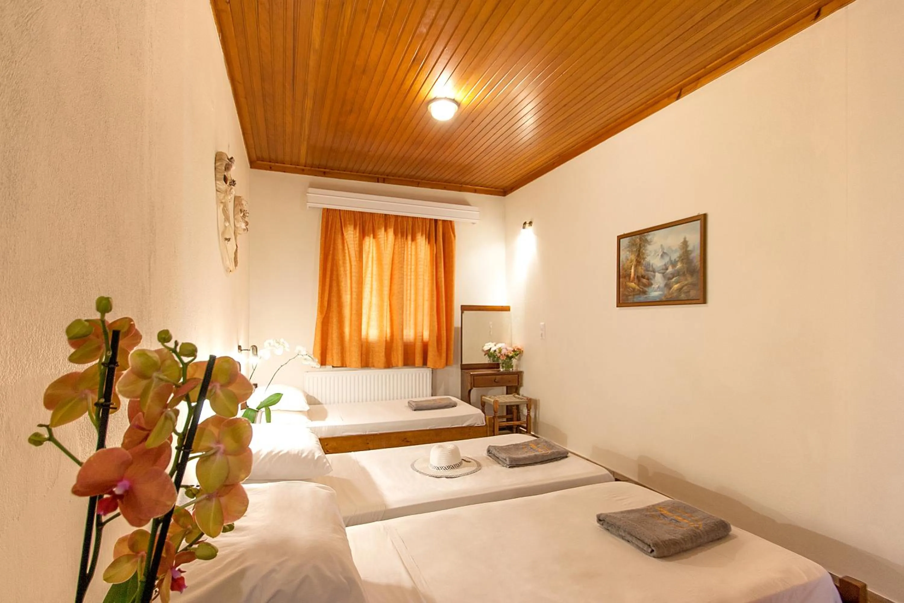 Bed in Koukias Village