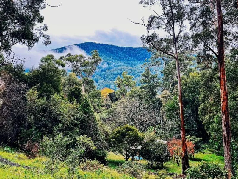 Garden in Green Gables Motel in Warburton