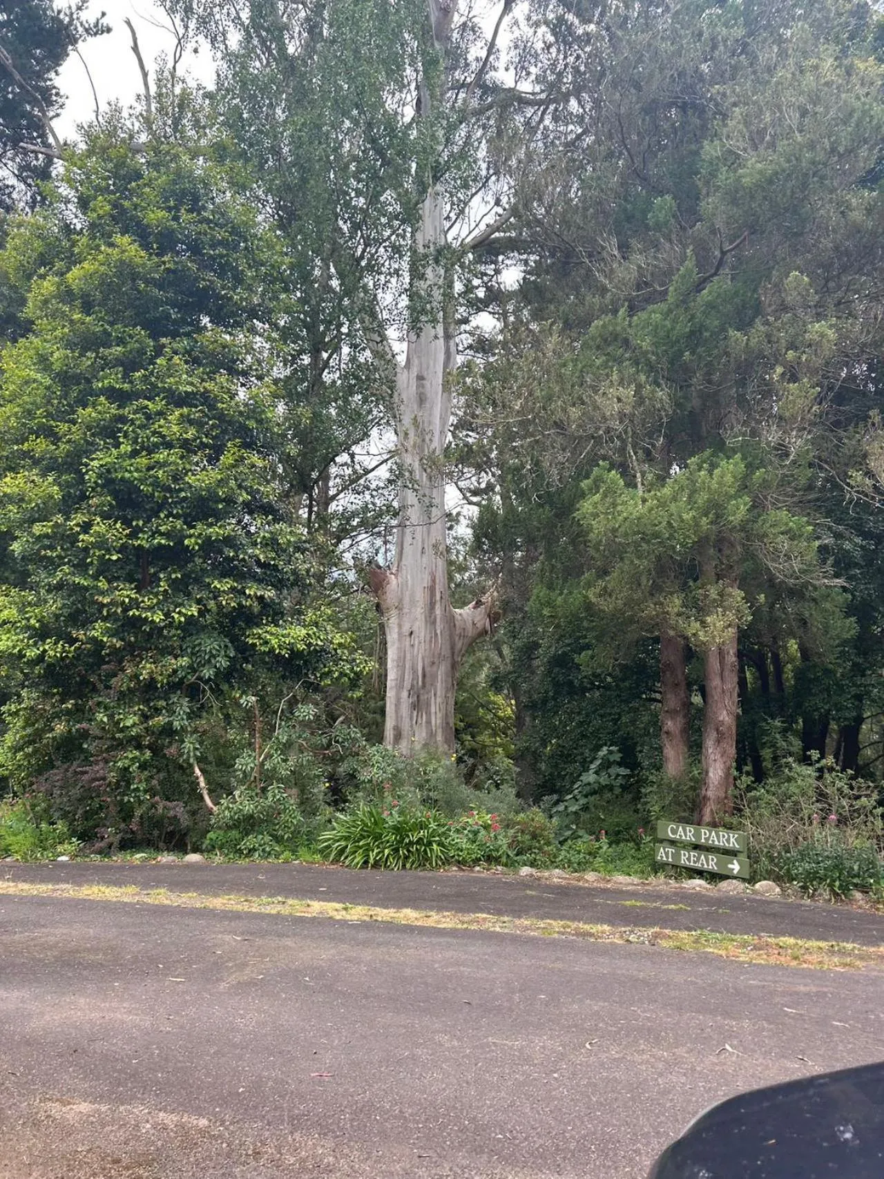 Green Gables Motel in Warburton