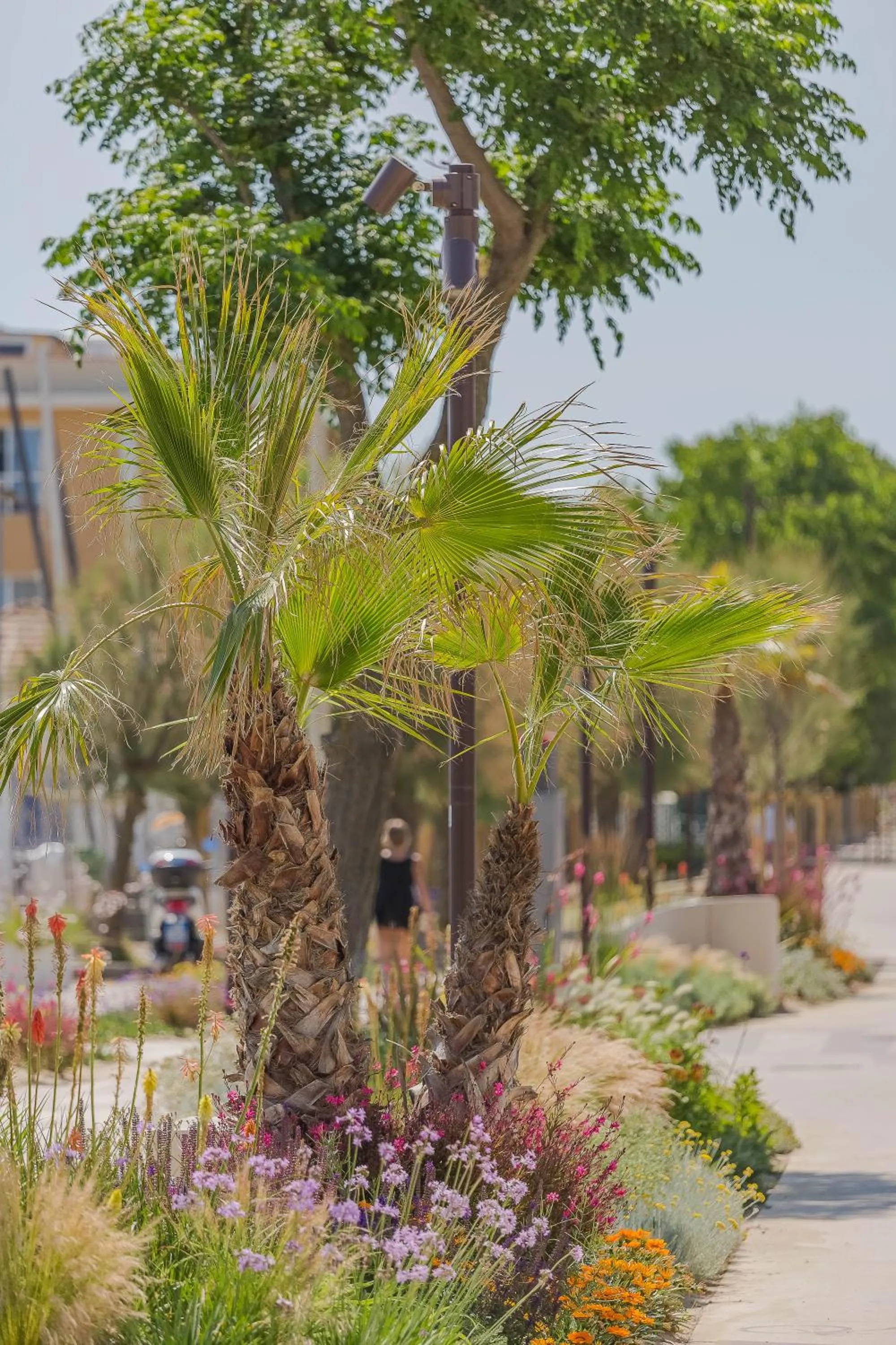 City view in Hb Hotels Orchidea Blu