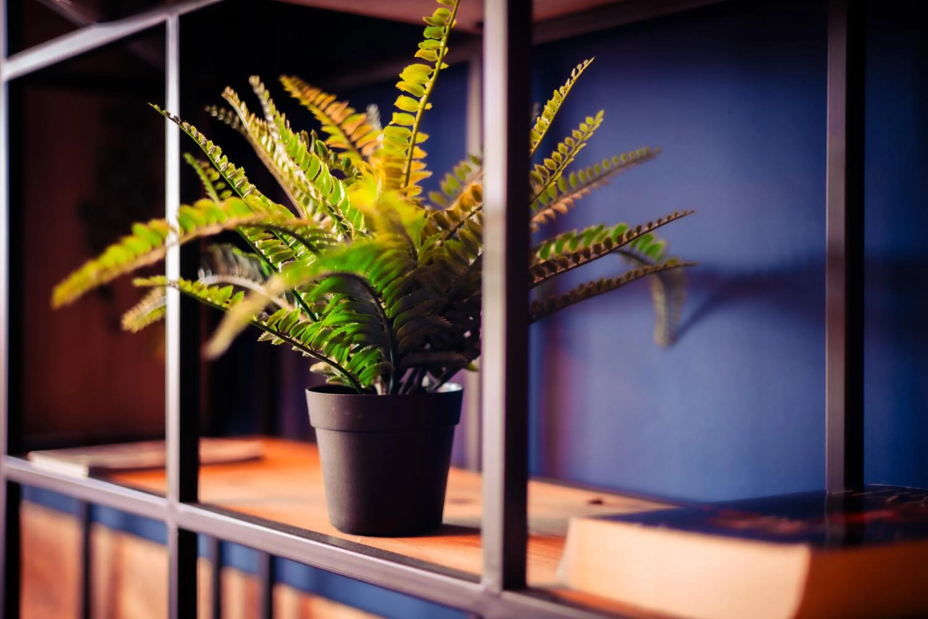 Garden in Urban Hotel The Golden Stork