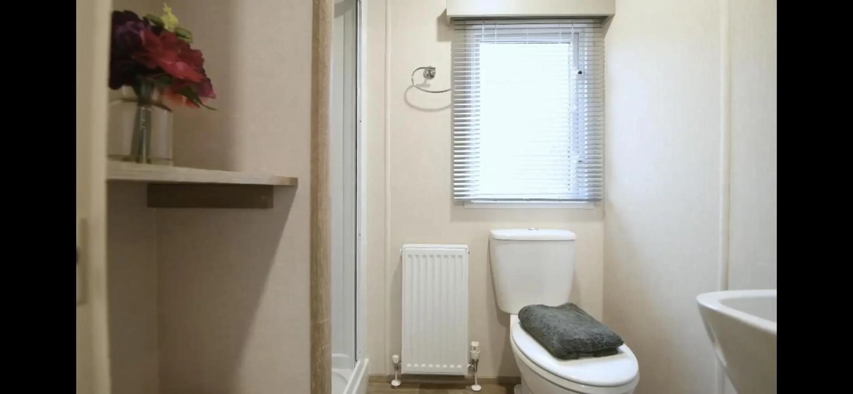 Toilet in Coopers Beach 3-Bed Caravan Sleeps 8 & Pets Ok