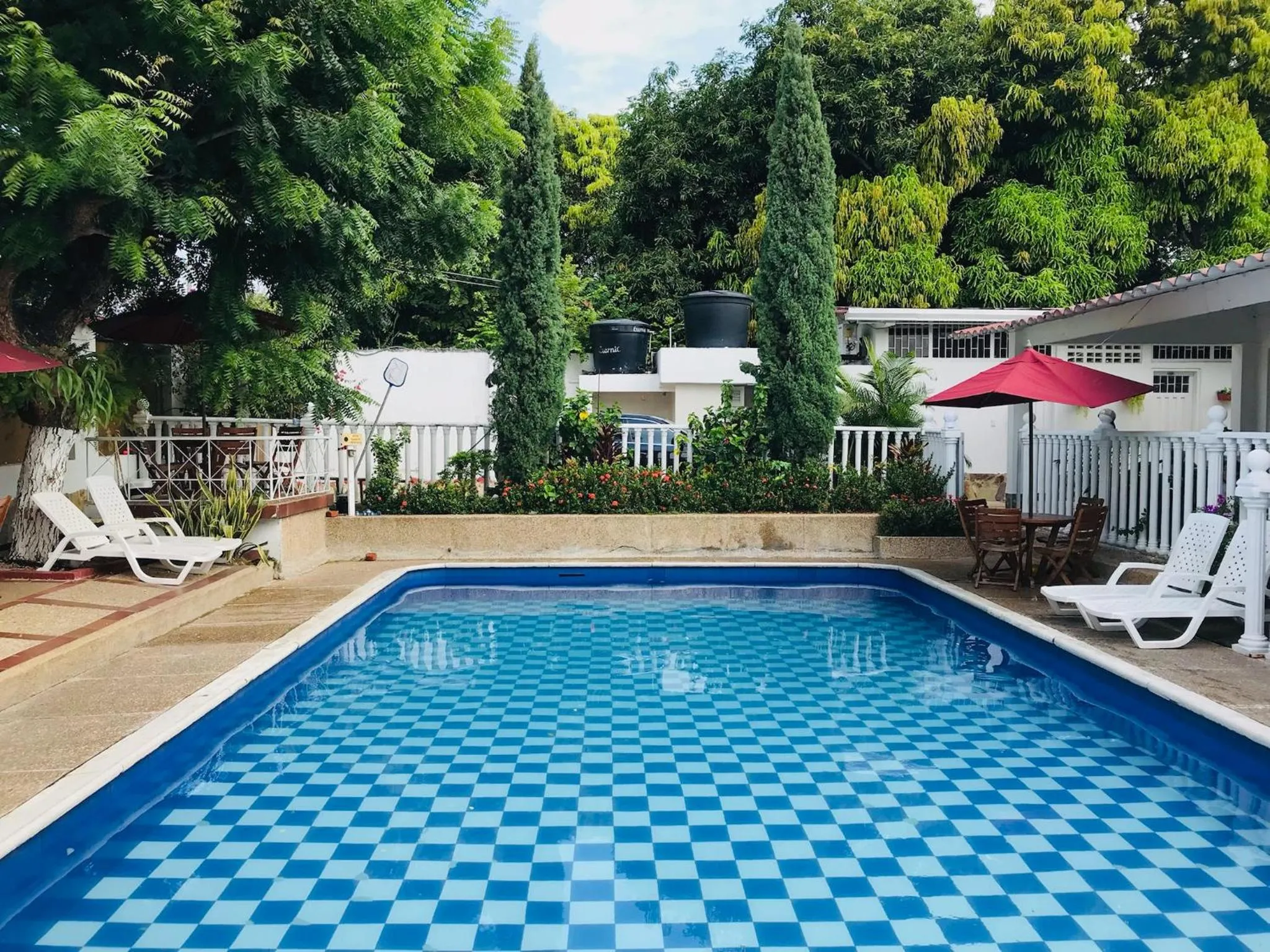 Garden in HOTEL MACEO MELGAR