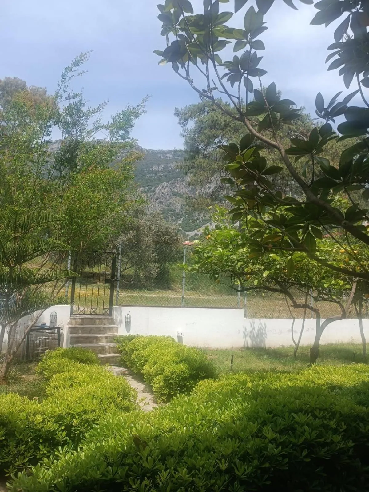 Garden in SUMMER OTEL