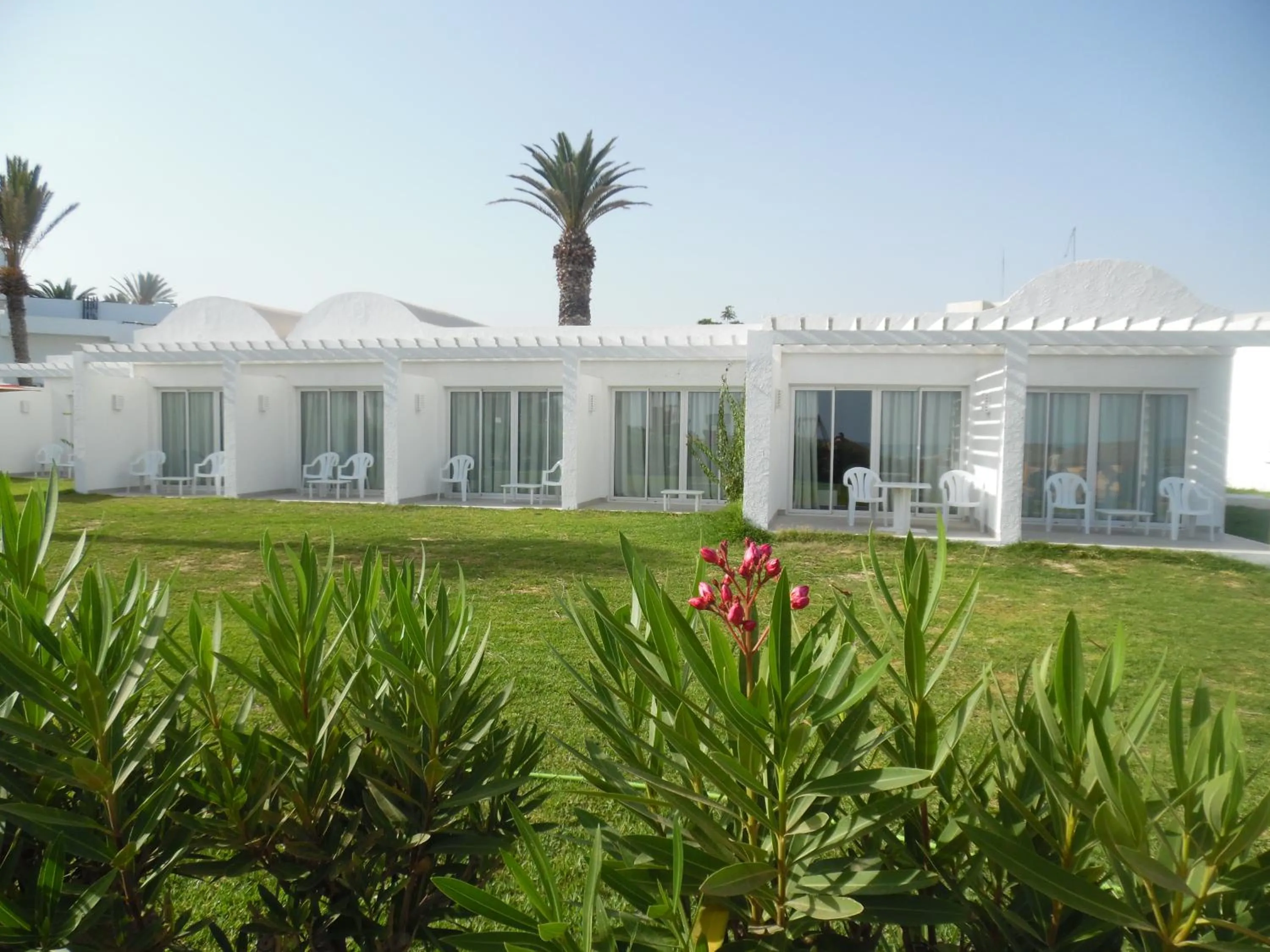 Garden view in Amber El Fell