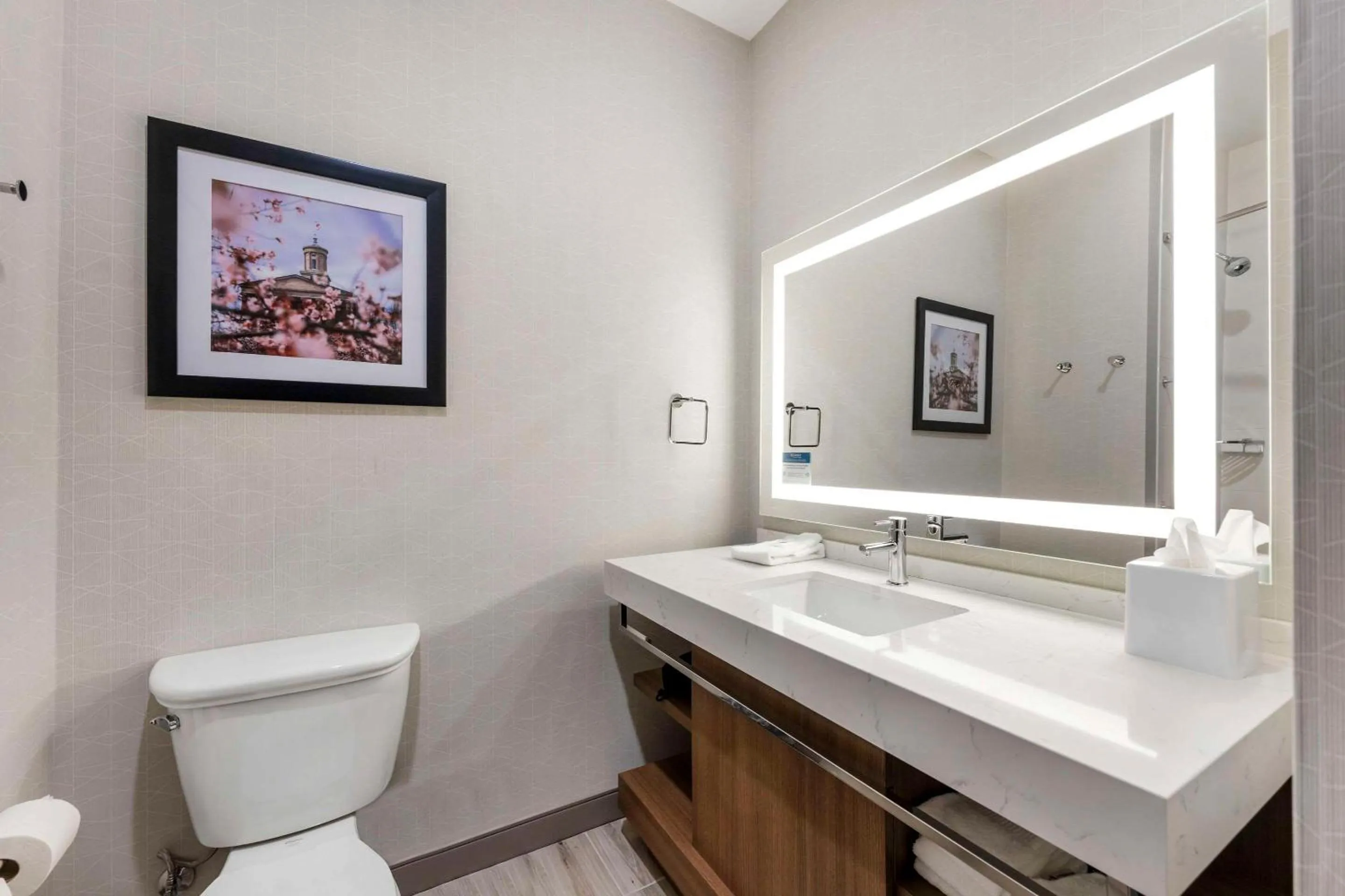 Bedroom in Comfort Inn & Suites Gallatin - Nashville Metro