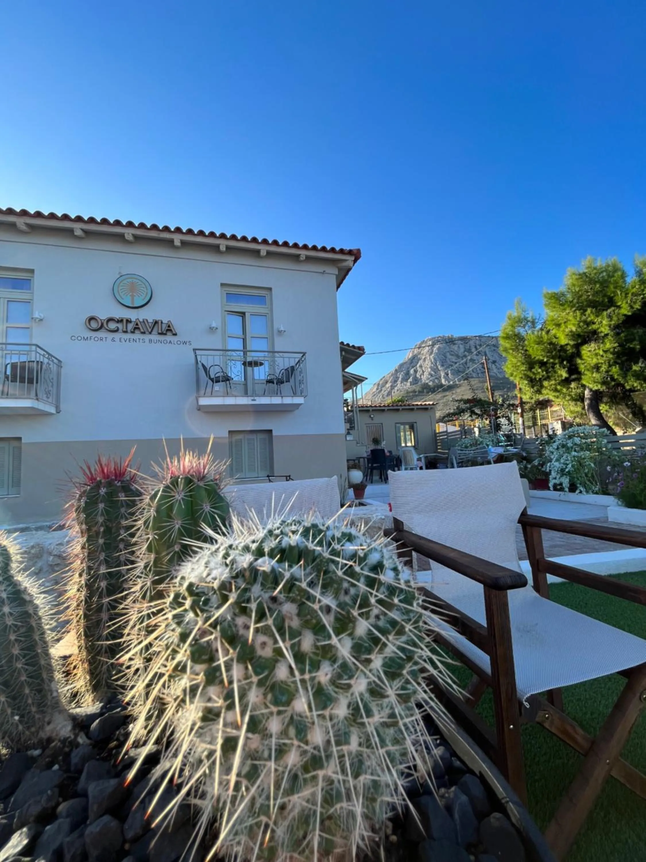 Property building in Octavia Rooms