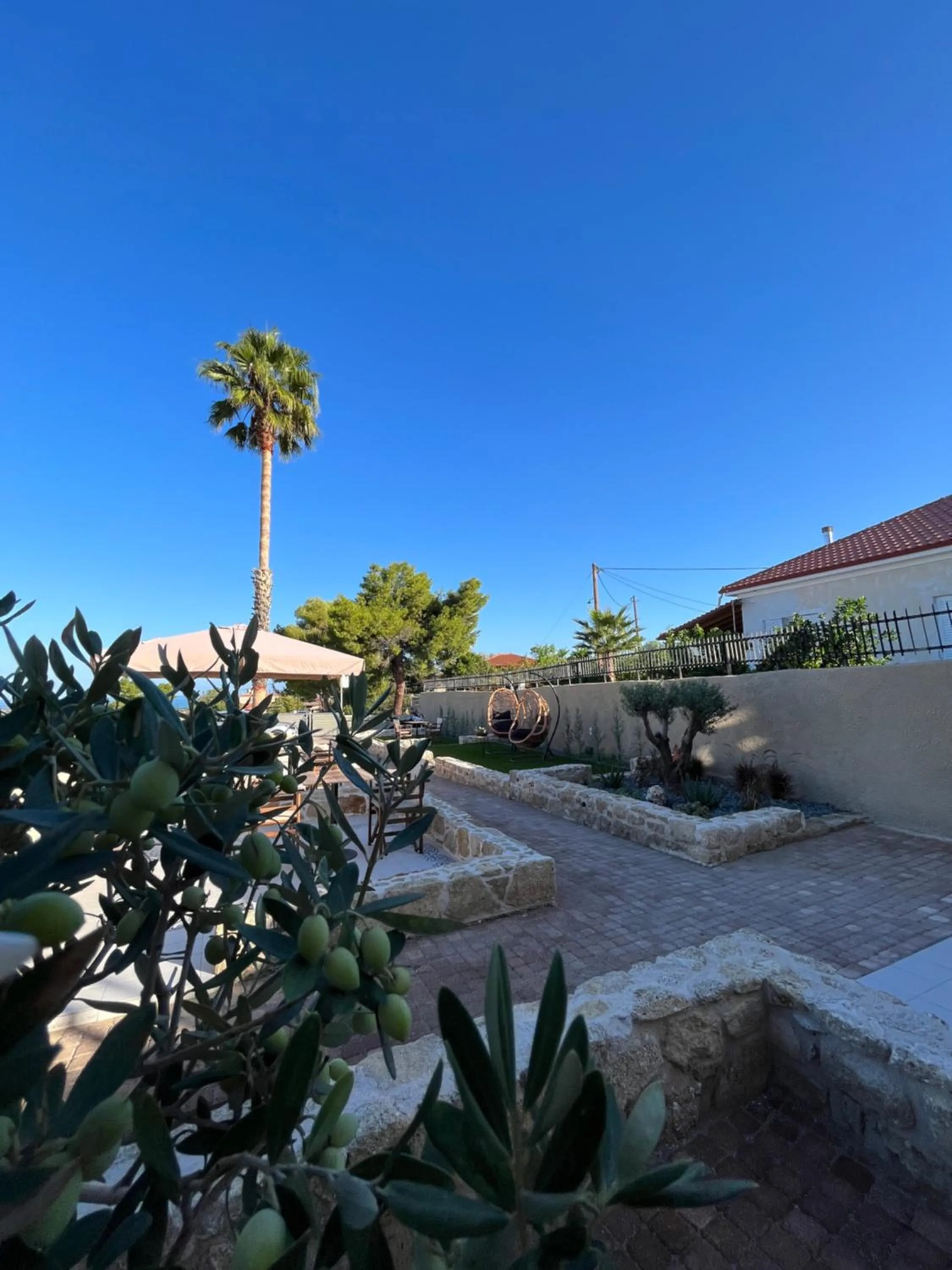 Day in Octavia Rooms