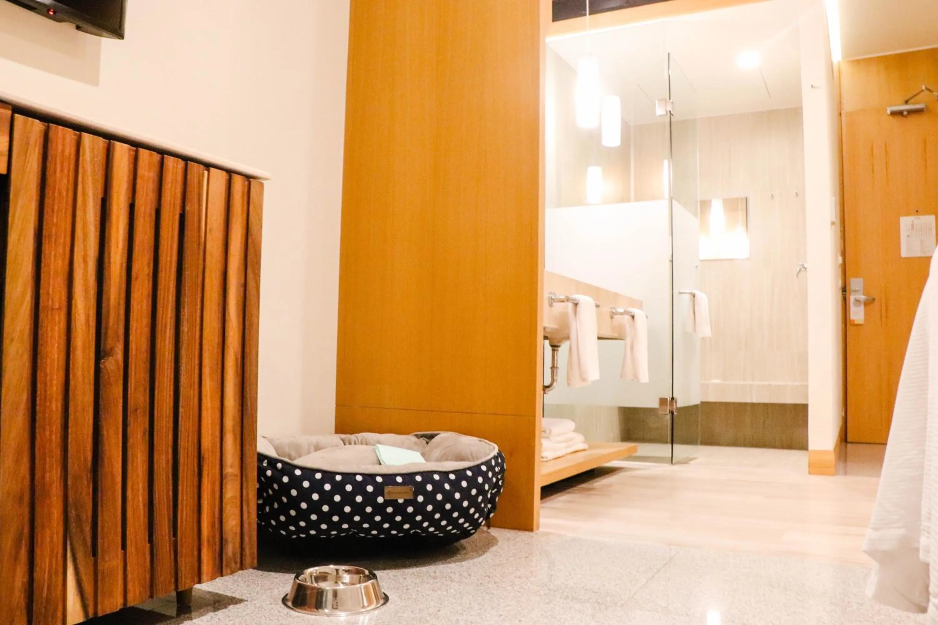 Photo of the whole room in Hotel Mio Riviera Nayarit - Adults Only