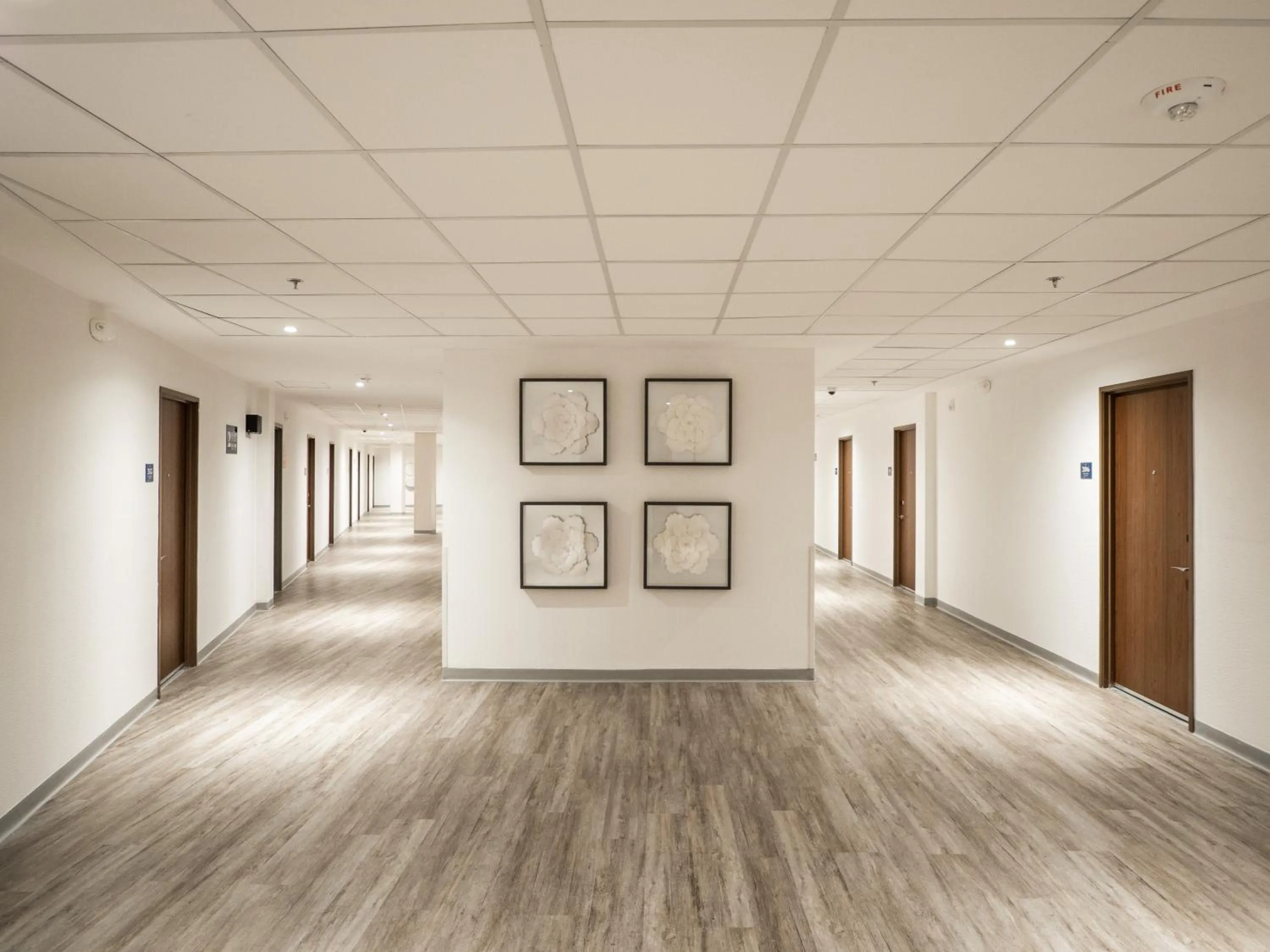 Other in Hotel Mesaluna Short & Long Stay