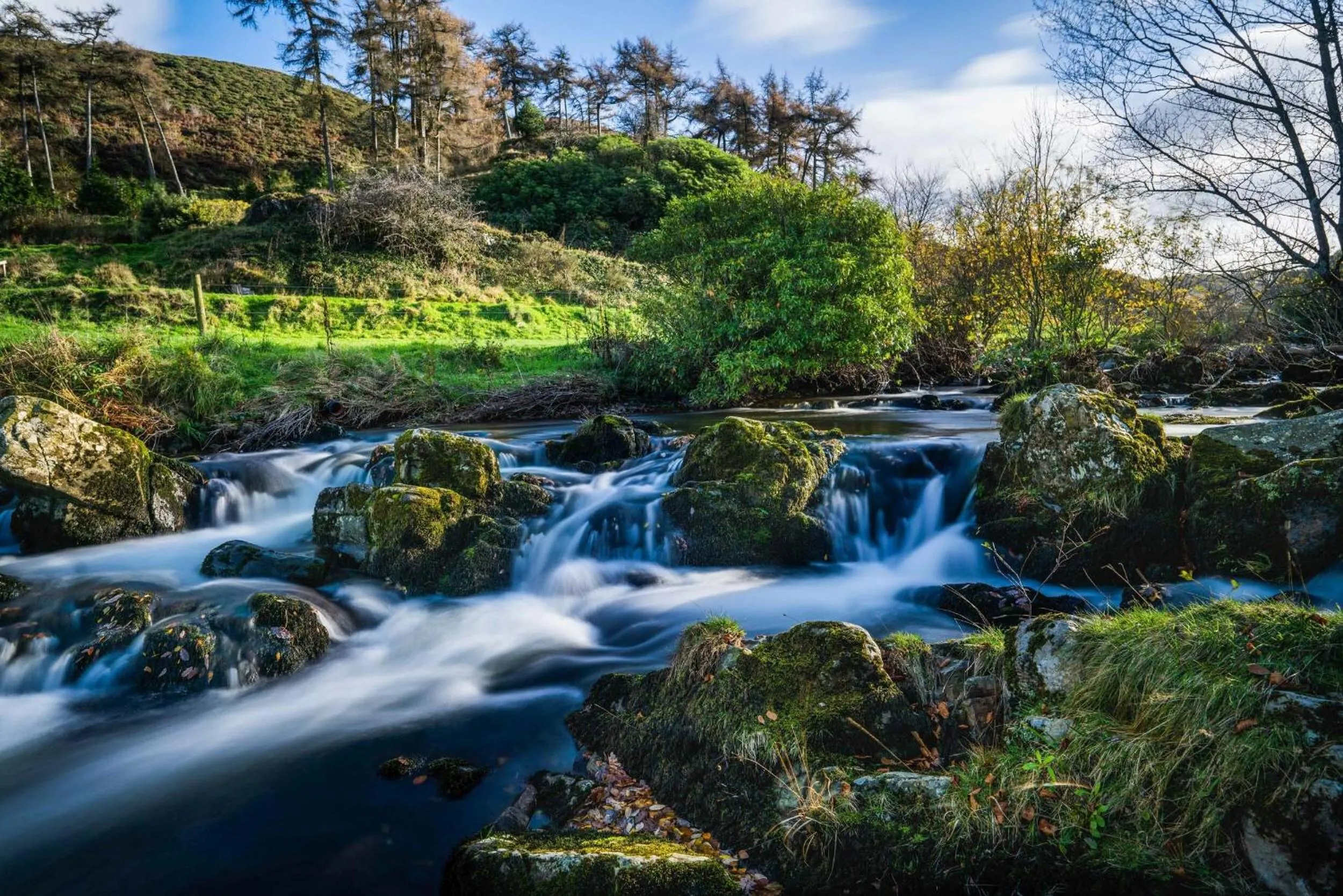 Neighbourhood in 4 Meadow View Lodge - 2 Bed-sleeps 4-TJS4MV