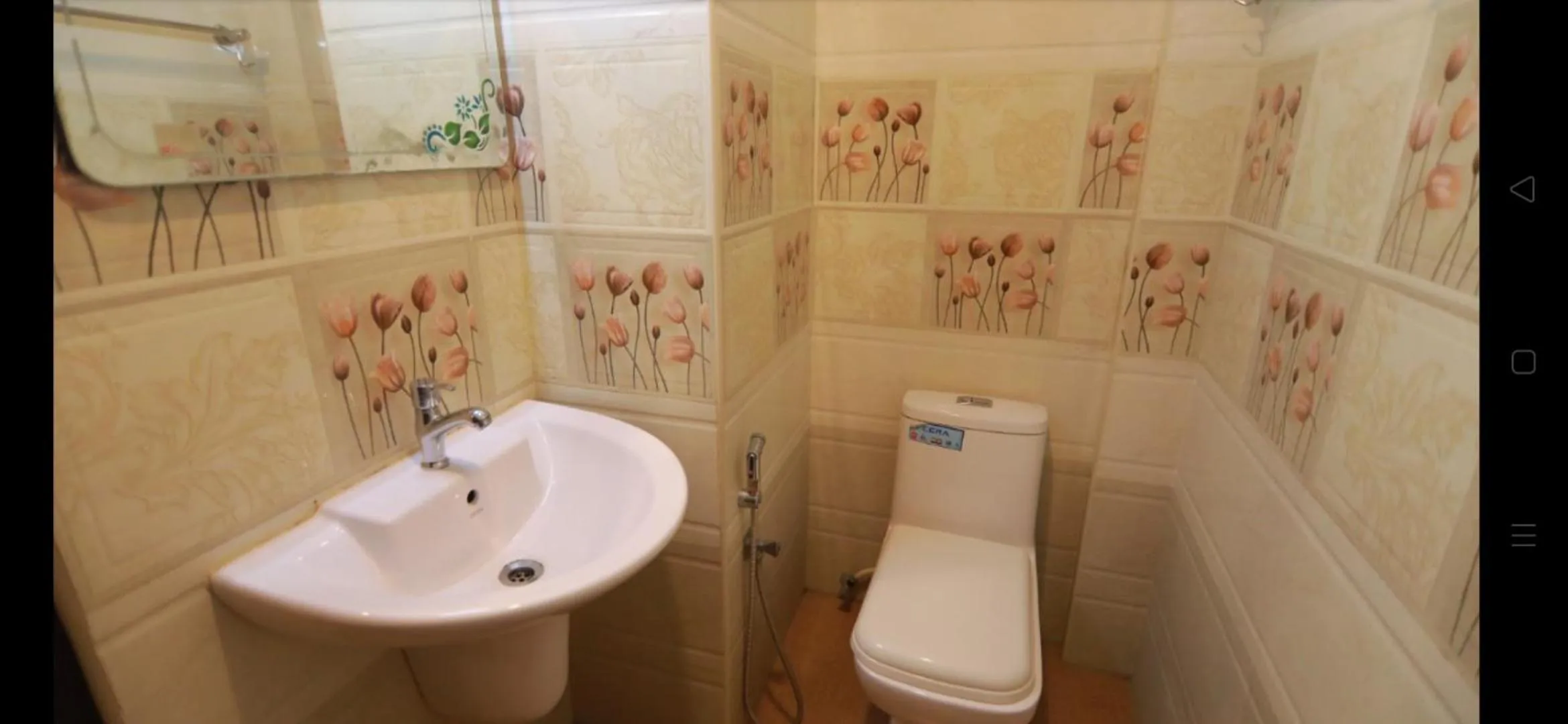 Bathroom in Honeymoon Houseboat