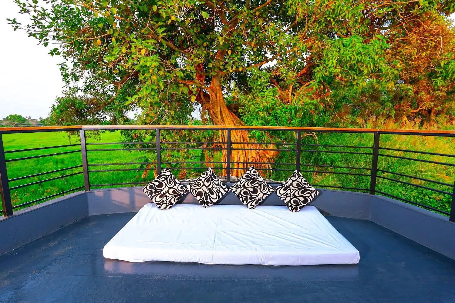 Balcony/Terrace in Kerala Boathouse