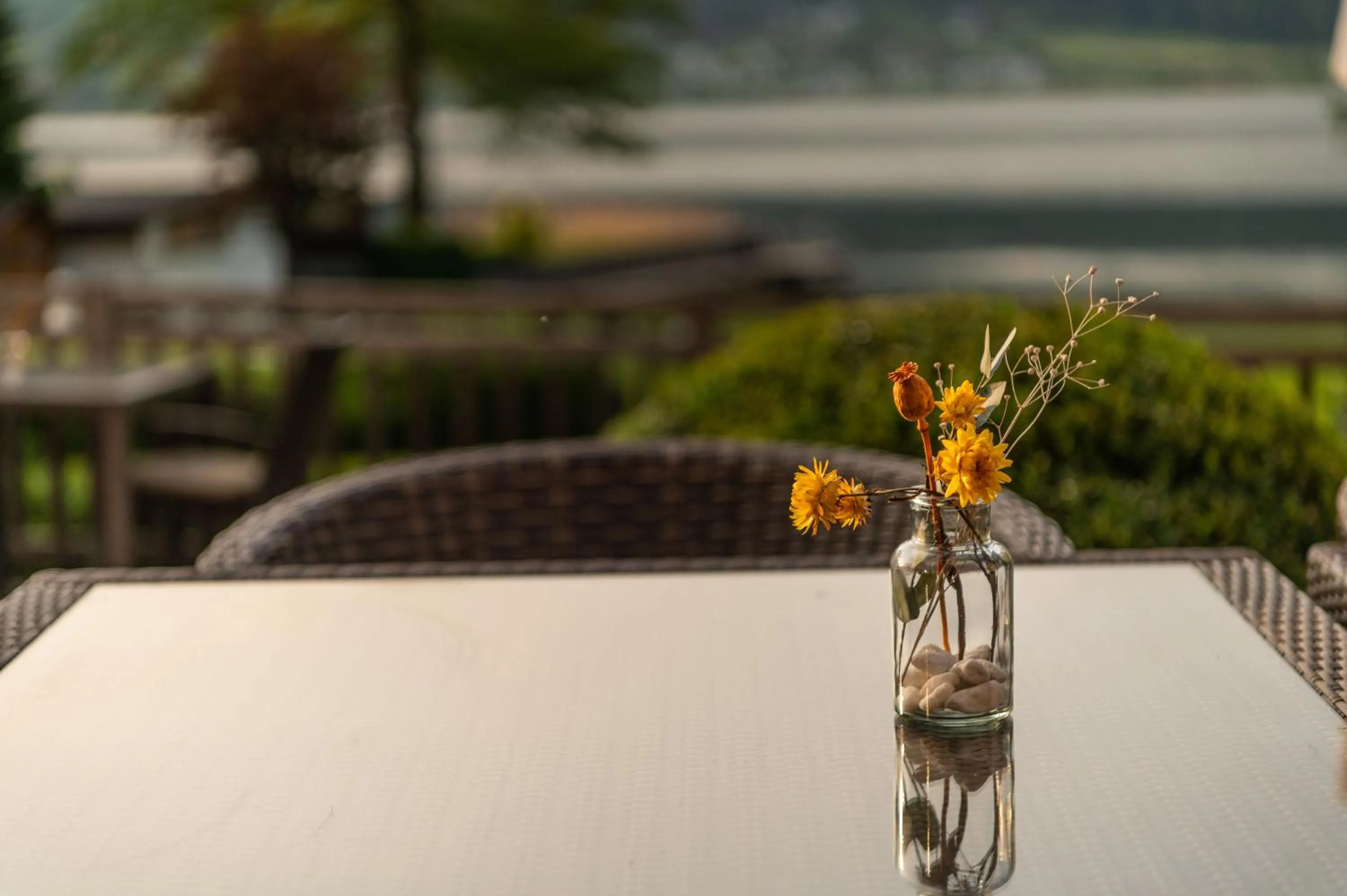 Garden in Seehotel Urban