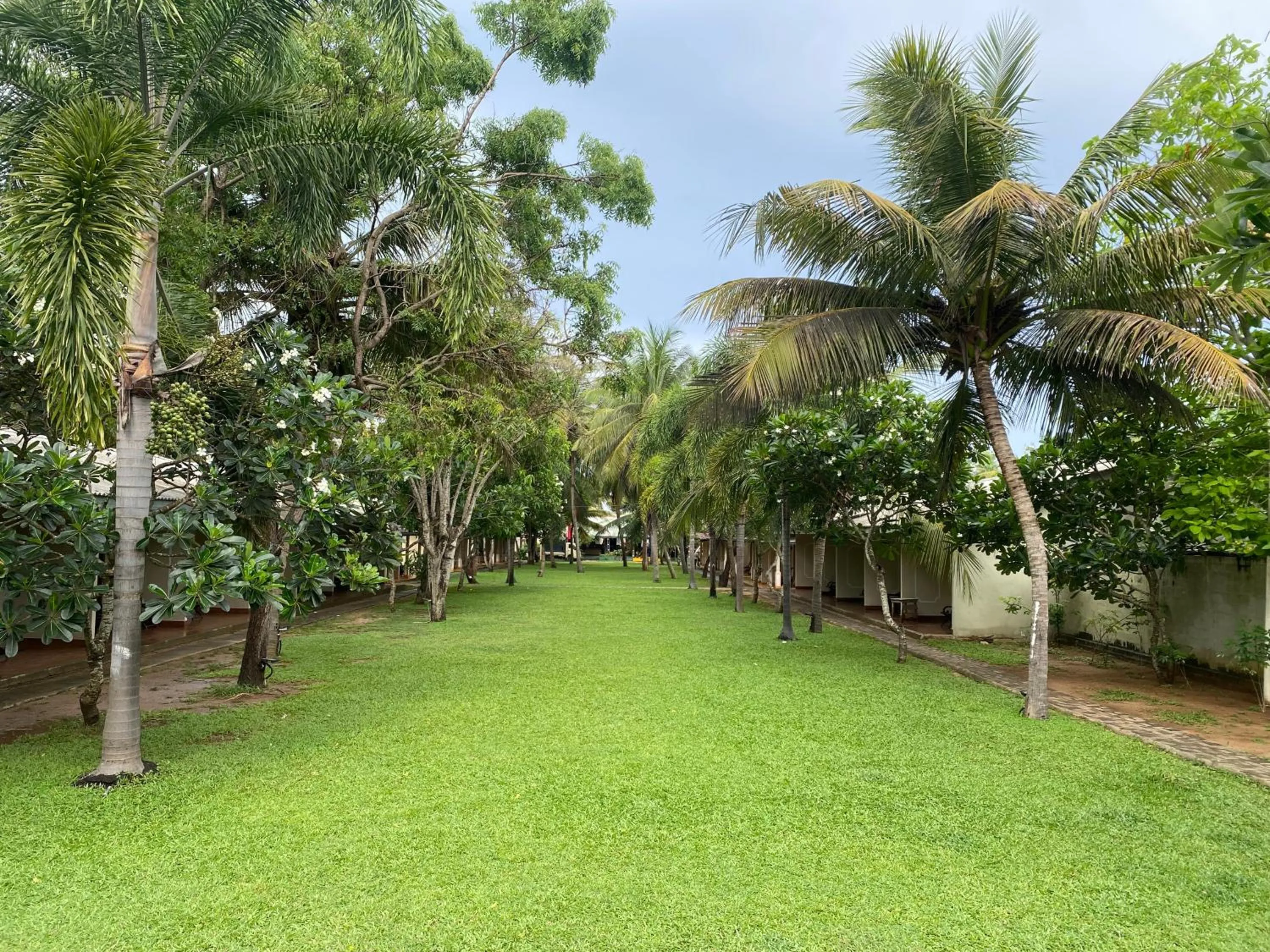 Garden in Carolina Beach Resort & Spa