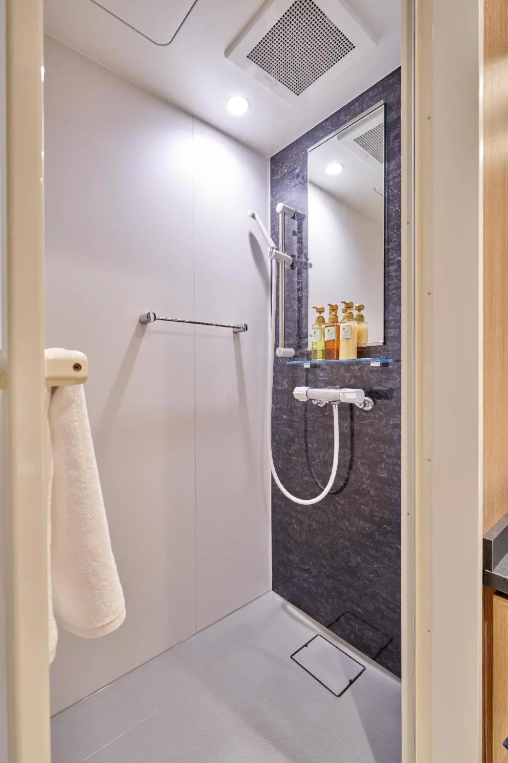 Shower in Welina Hotel Premier Nakanoshima West