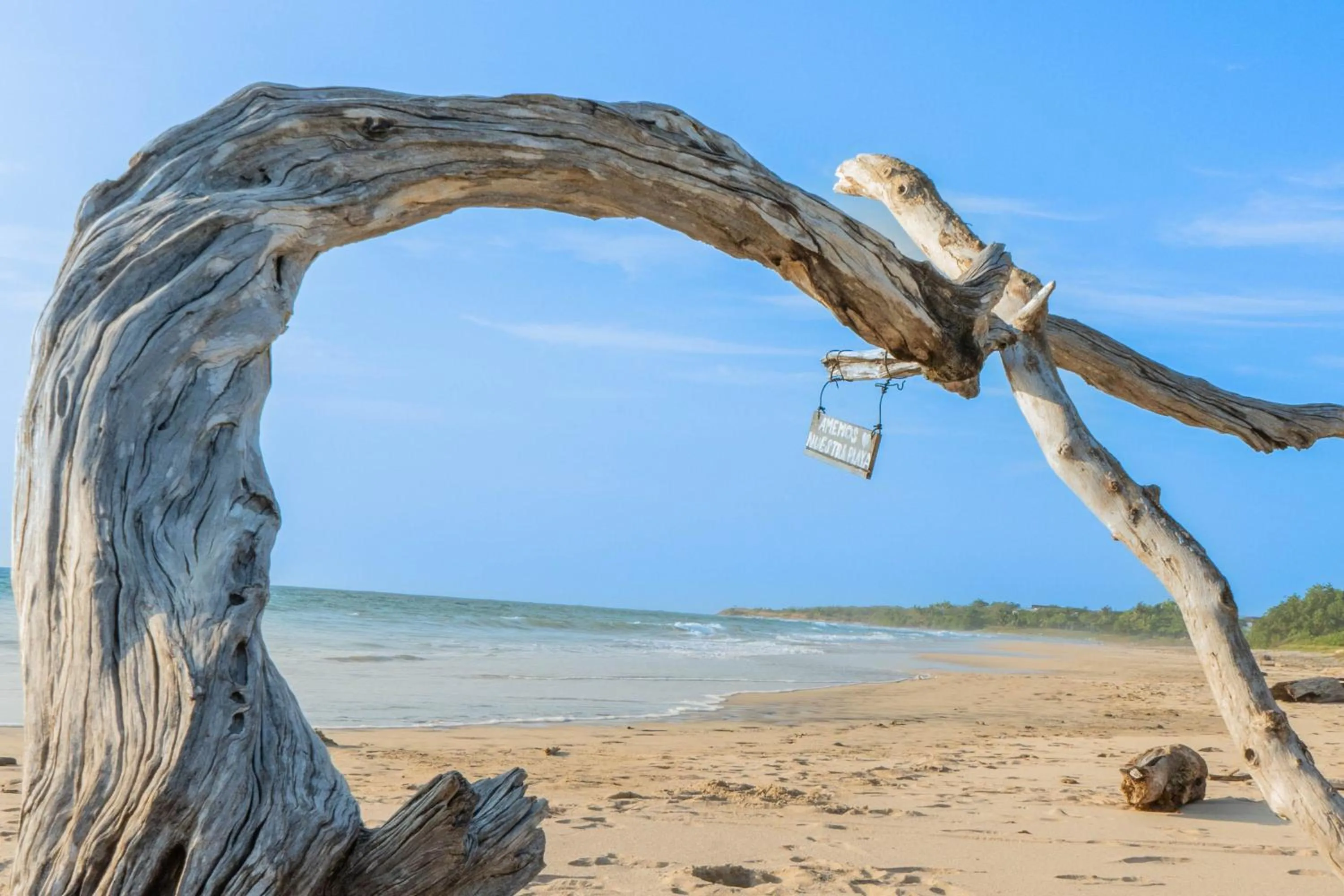 Natural landscape in Villas VR Beachwalk Avellanas