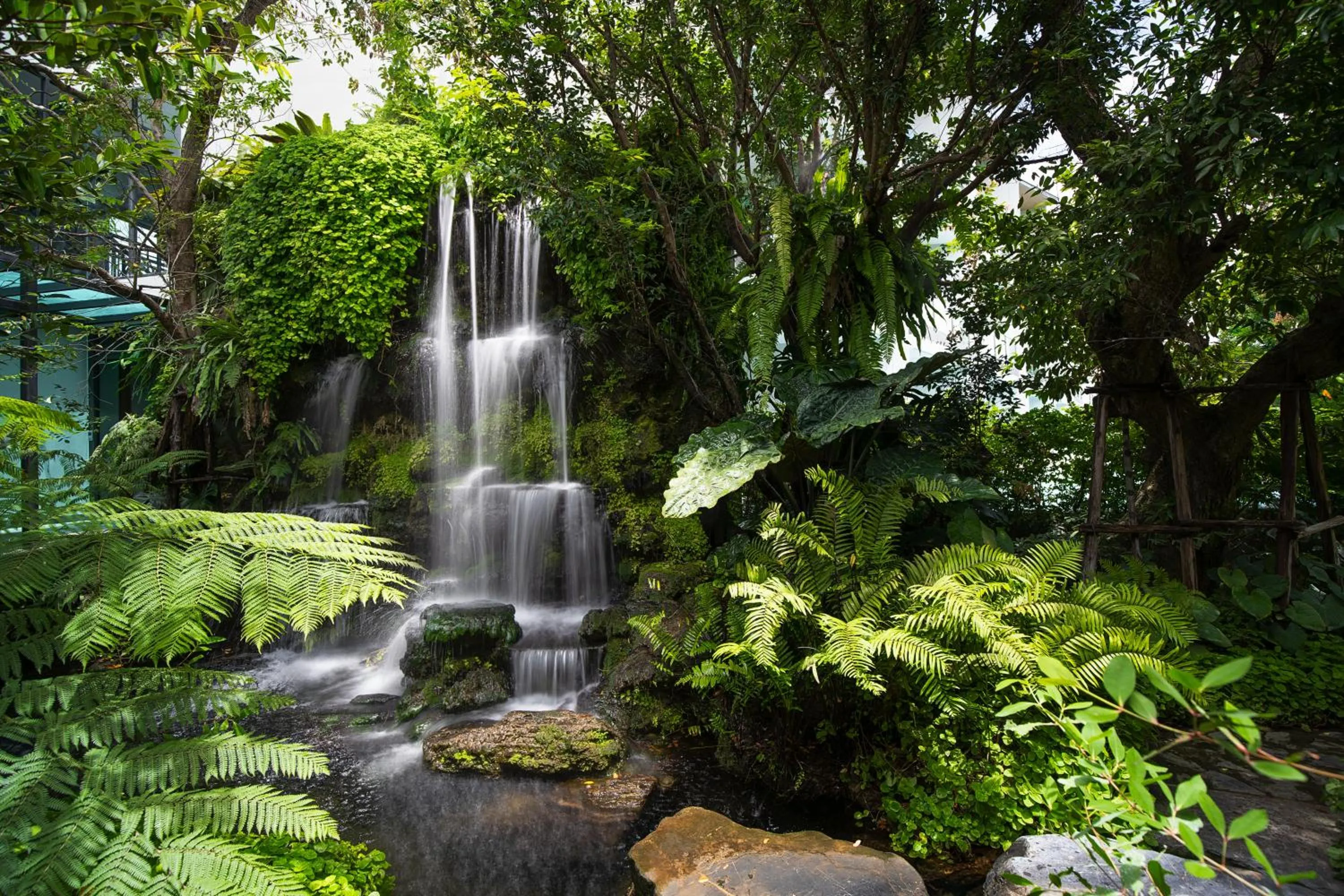 View (from property/room) in Timberton Resort Khaoyai