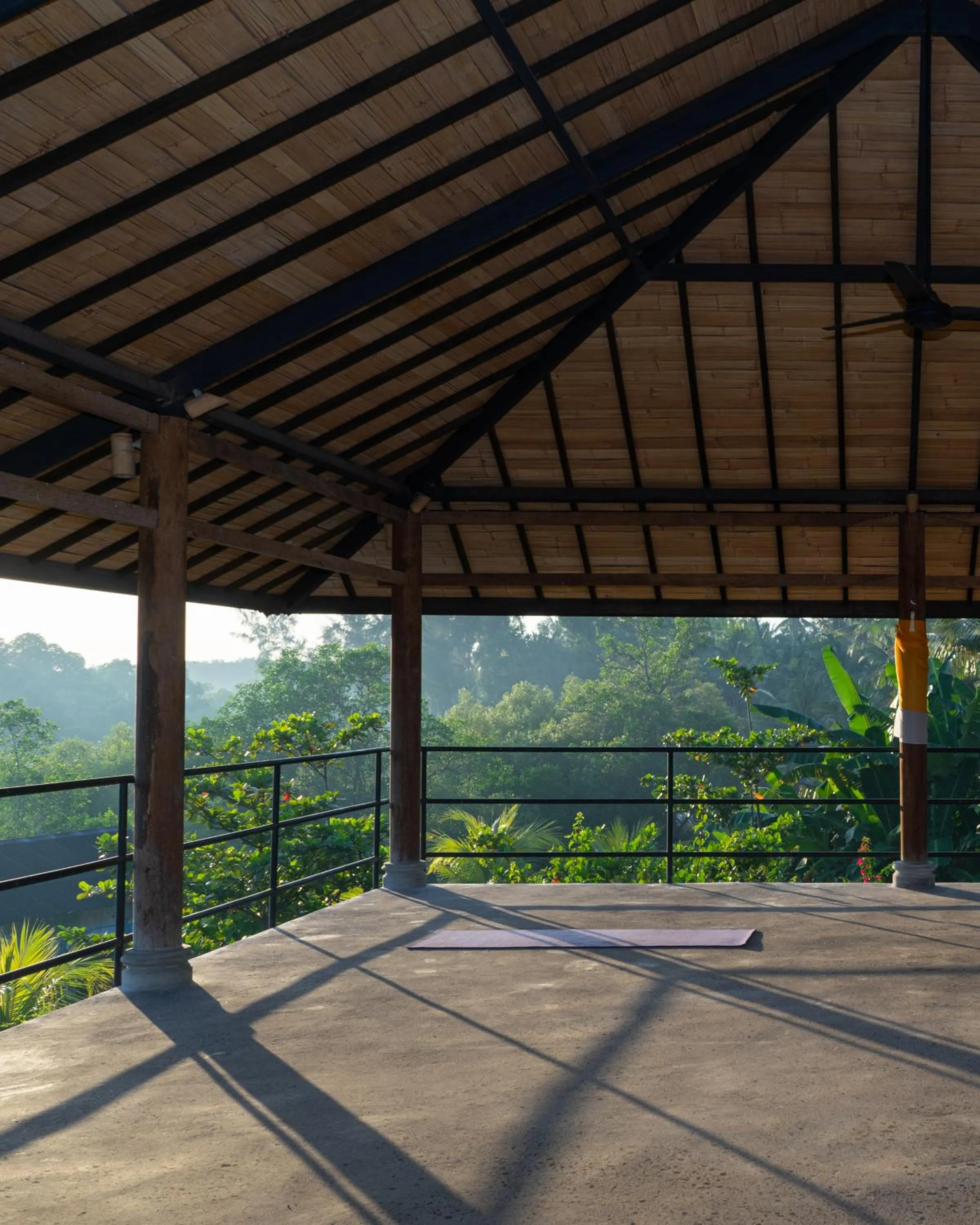 Activities in Mangroove Bay Boutique Hostel