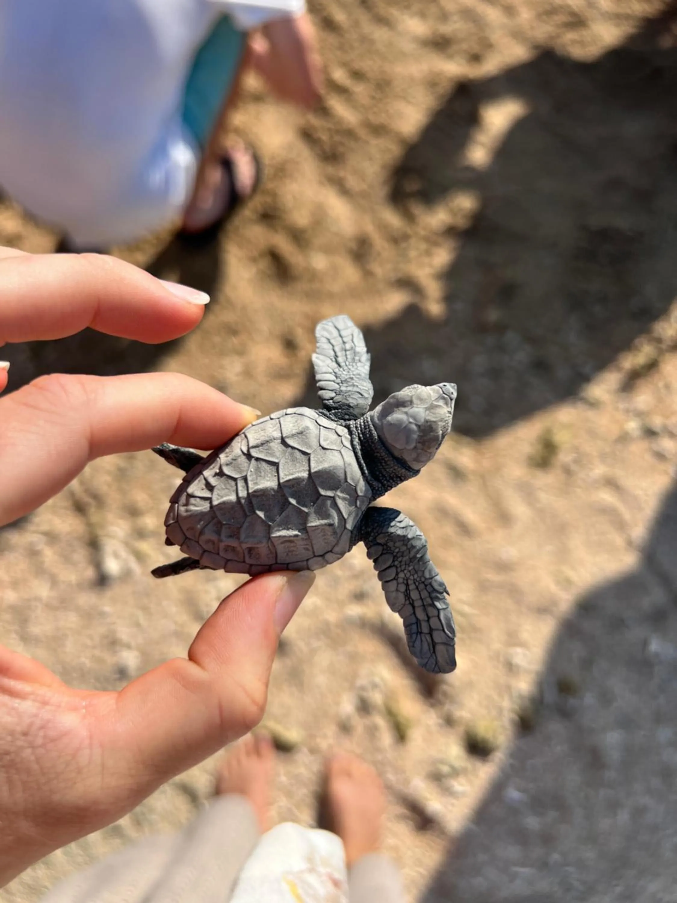 Activities in Mangroove Bay Boutique Hostel