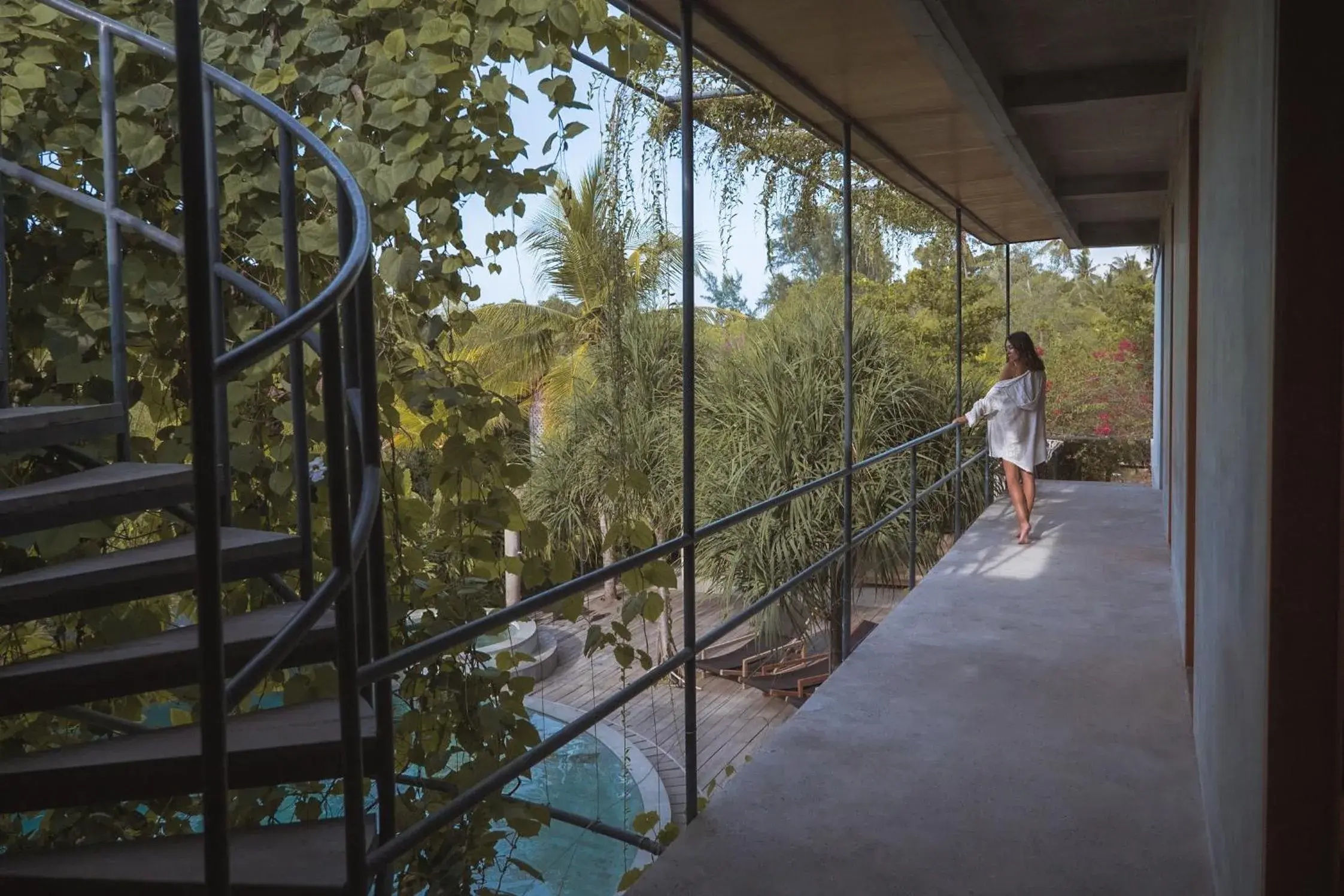 Bunk Bed in Male Dormitory Room in Mangroove Bay Boutique Hostel Bunk Bed in Male Dormitory Room in Mangroove Bay Boutique Hostel