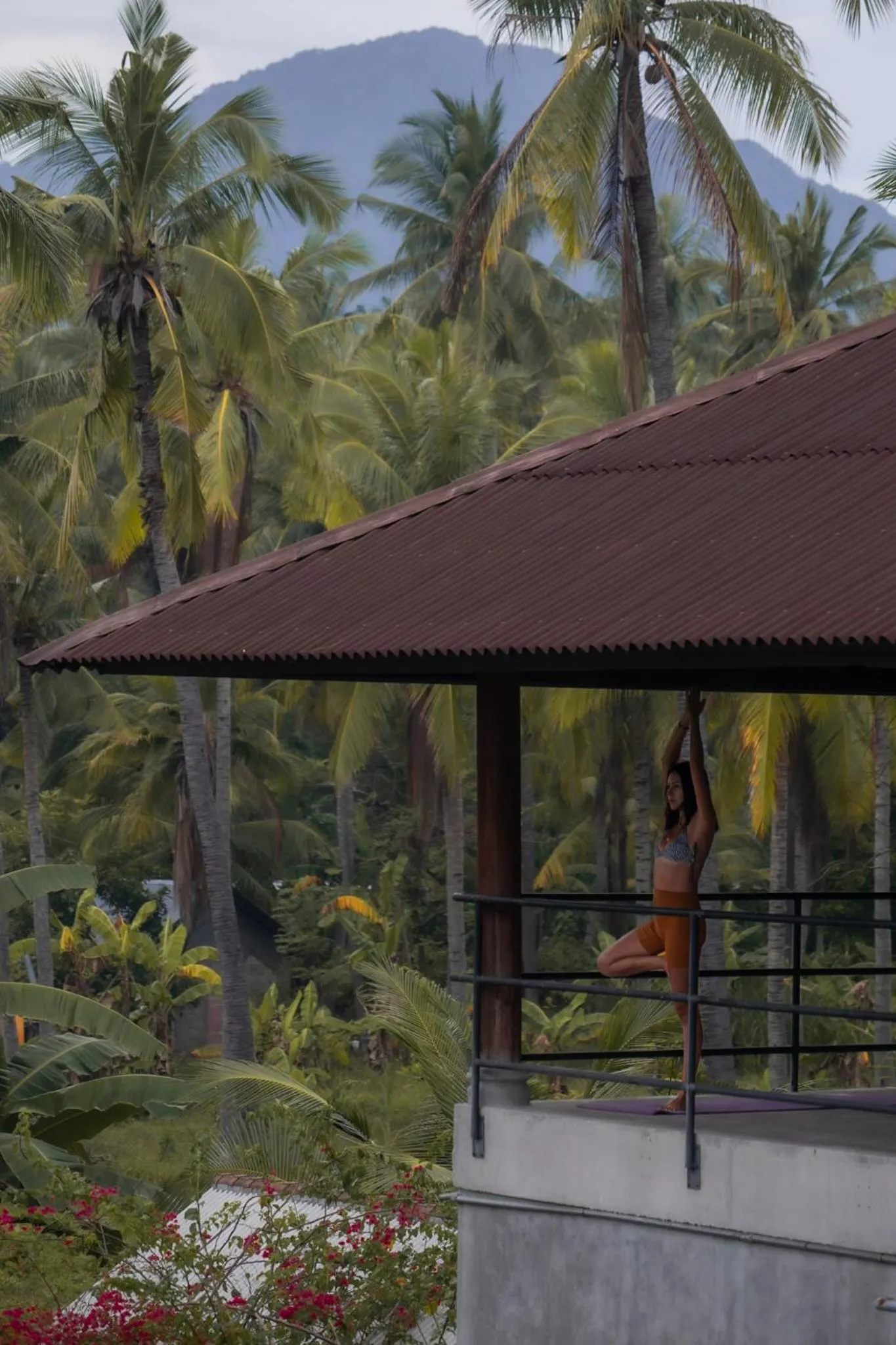 Natural landscape in Mangroove Bay Boutique Hostel