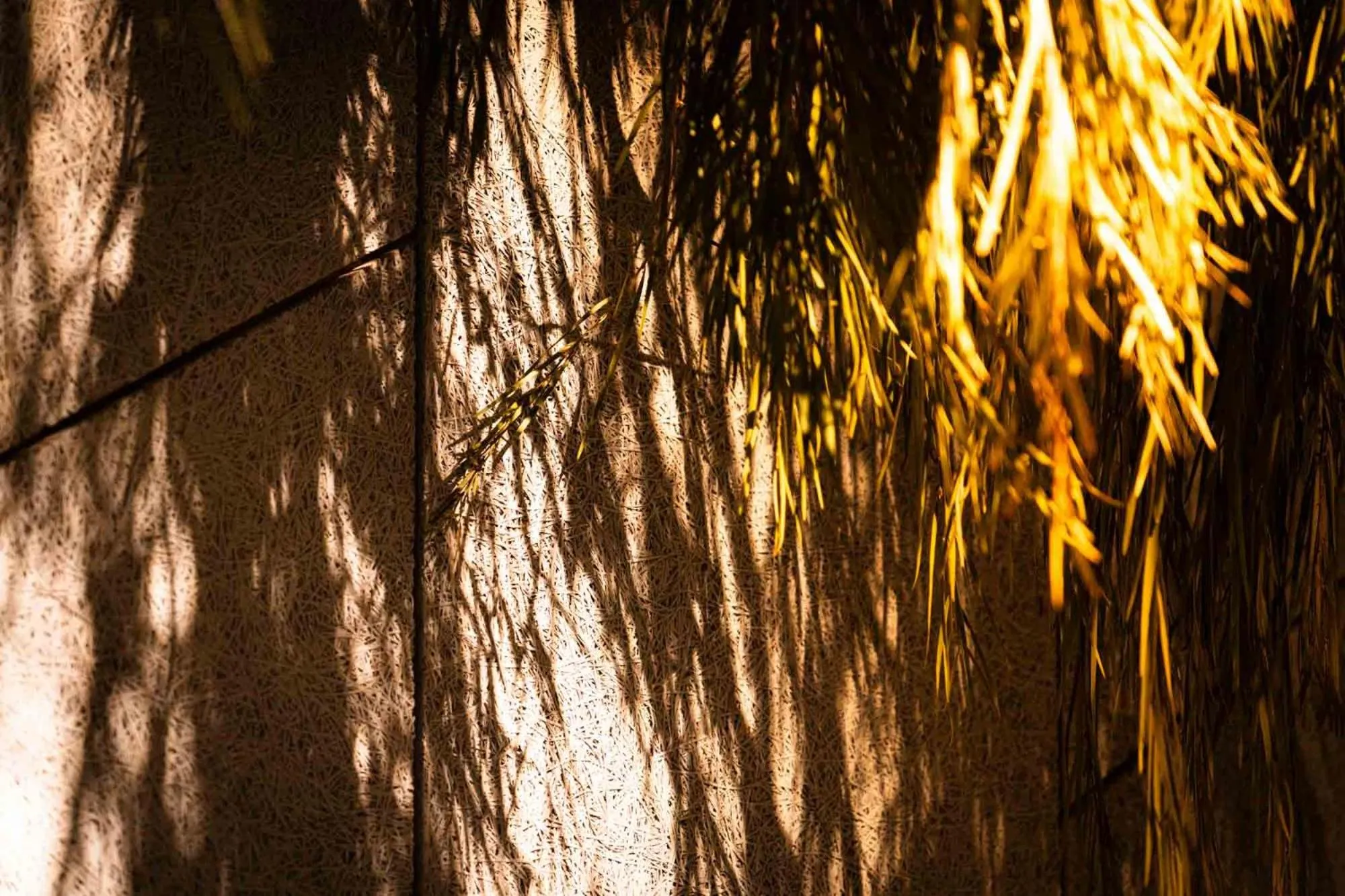 Day in R Hotel Namba South