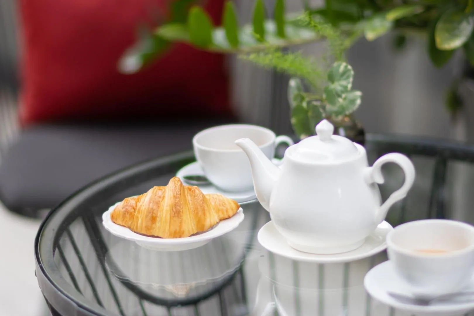 Area and facilities in Blue Hippo & Red Crocodile Hotel