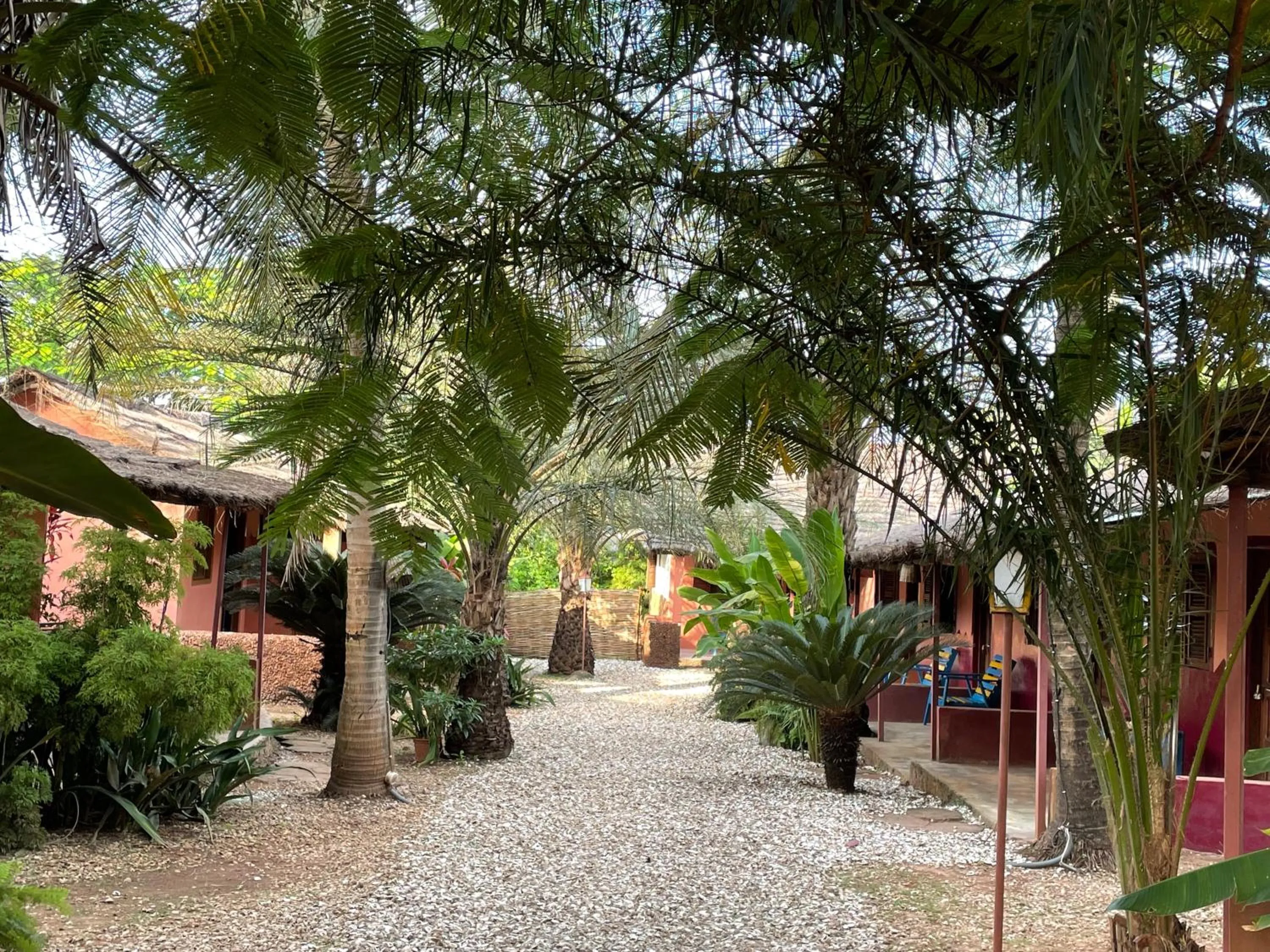 MANGO LODGE