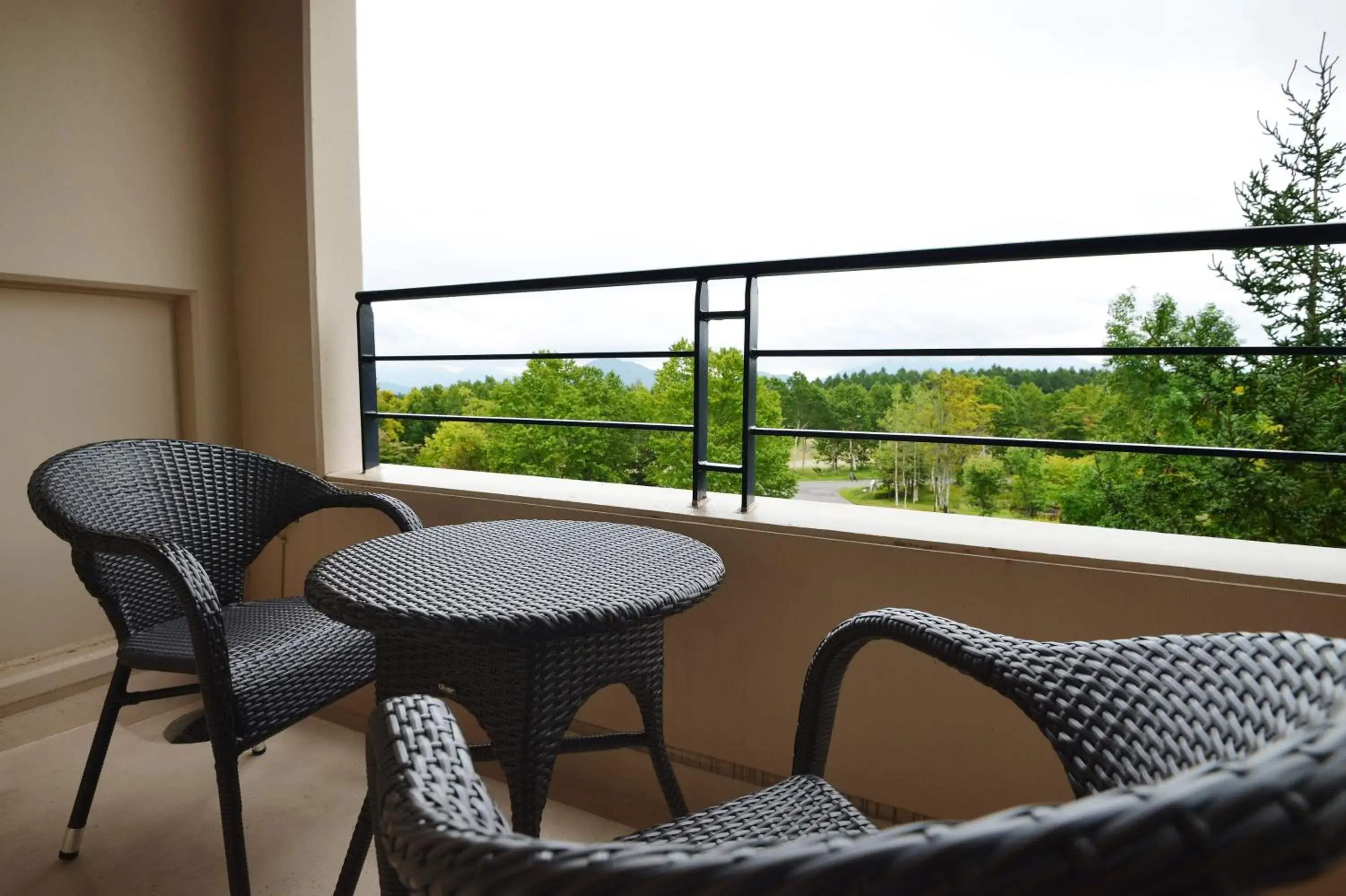 Deluxe Twin Room - single occupancy in EN RESORT Grandeco Hotel Deluxe Twin Room - single occupancy in EN RESORT Grandeco Hotel