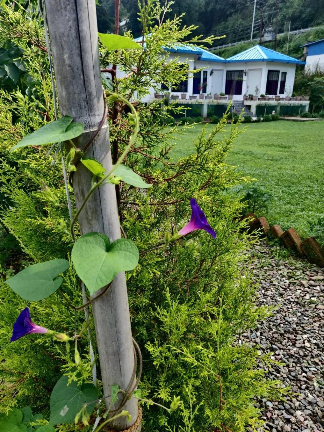 Garden in Blossom Bliss Resort