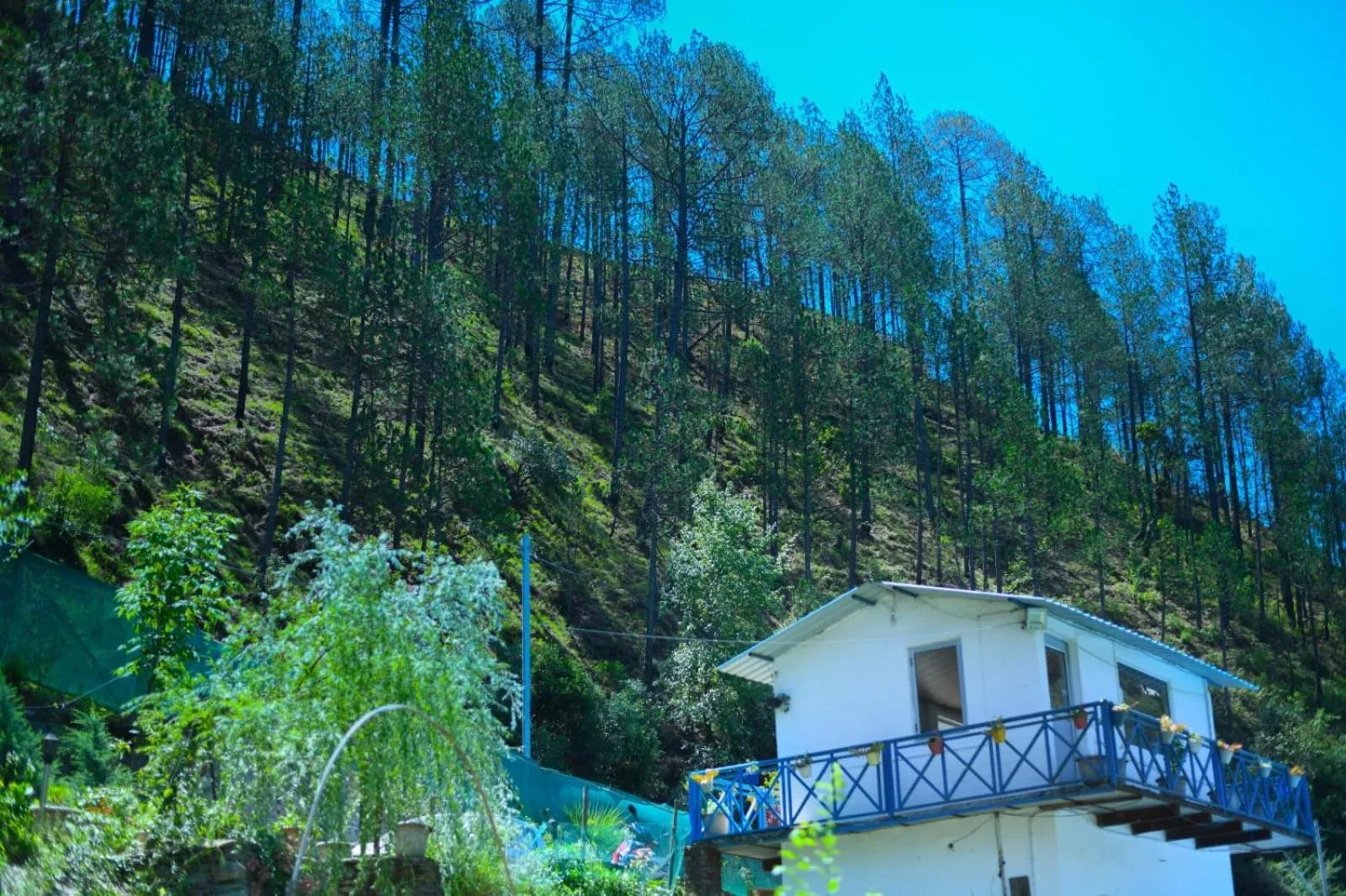 Natural landscape in Blossom Bliss Resort