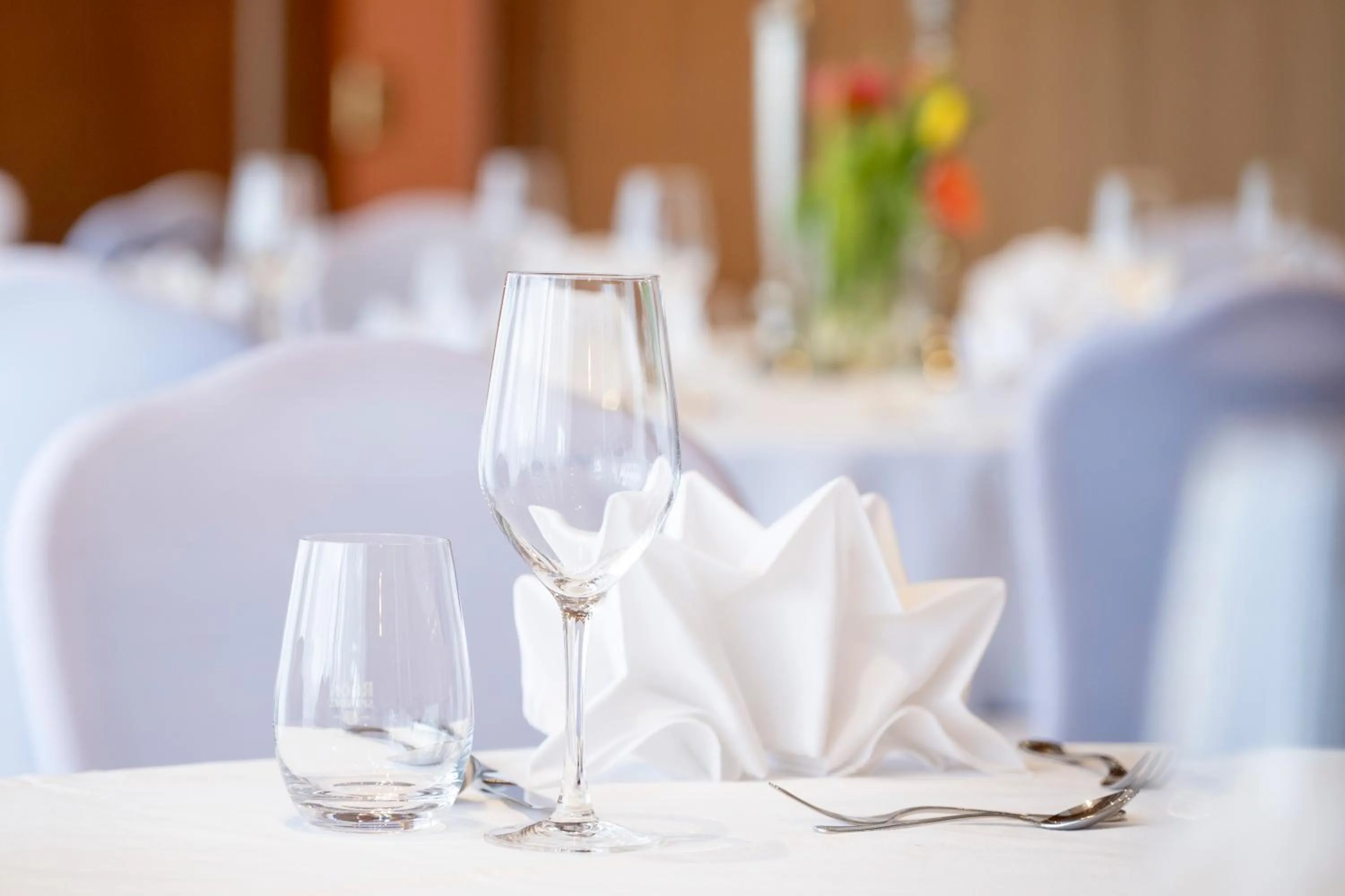 Banquet/Function facilities in Hotel Berghof