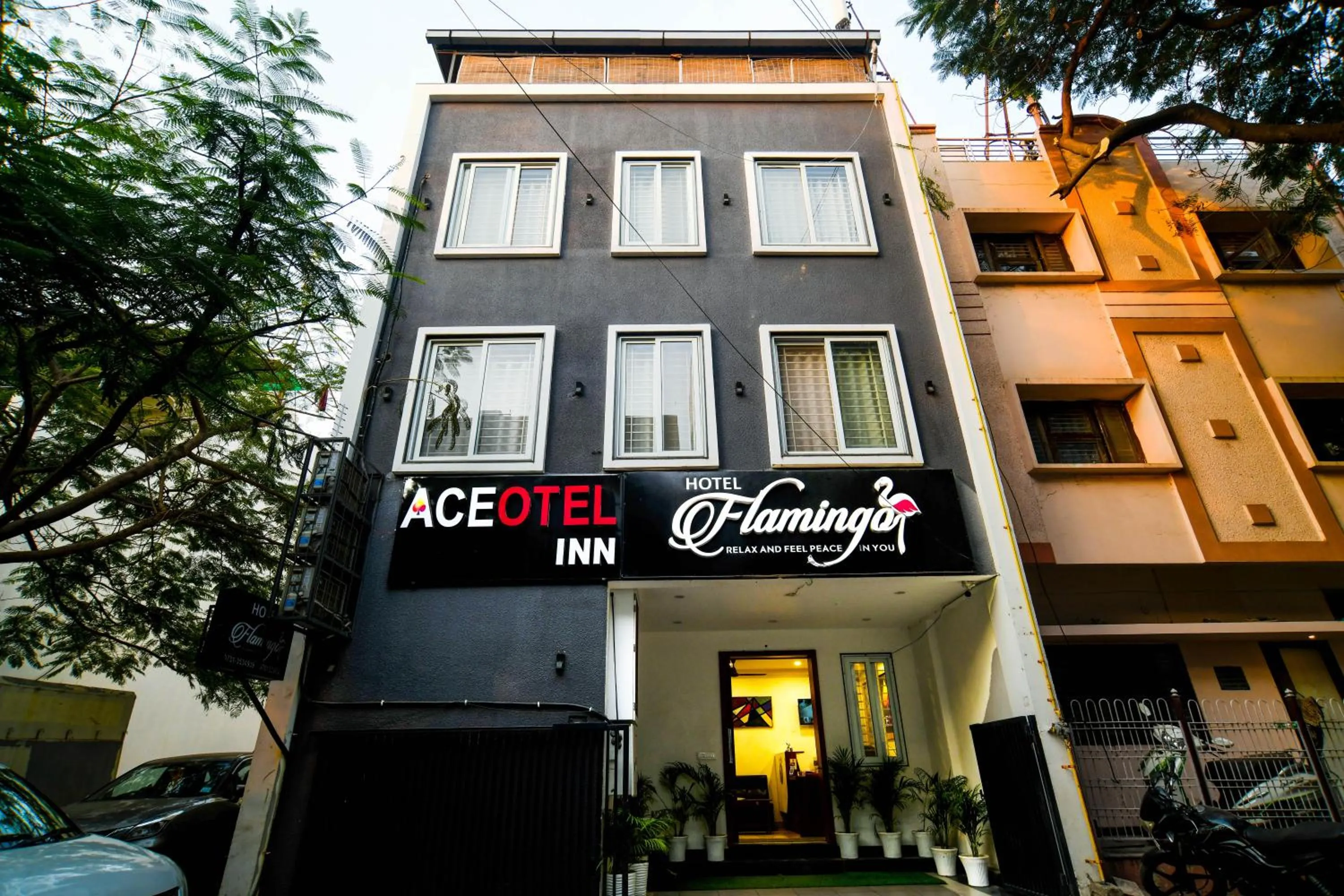 Property building in Aceotel Inn Flamingo