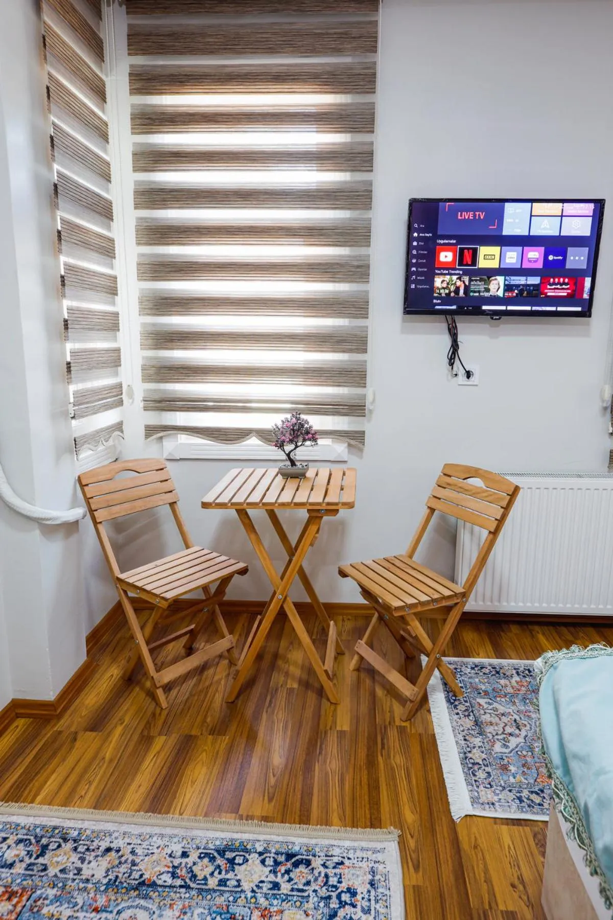 TV and multimedia in Fidelya Boutique Hotel